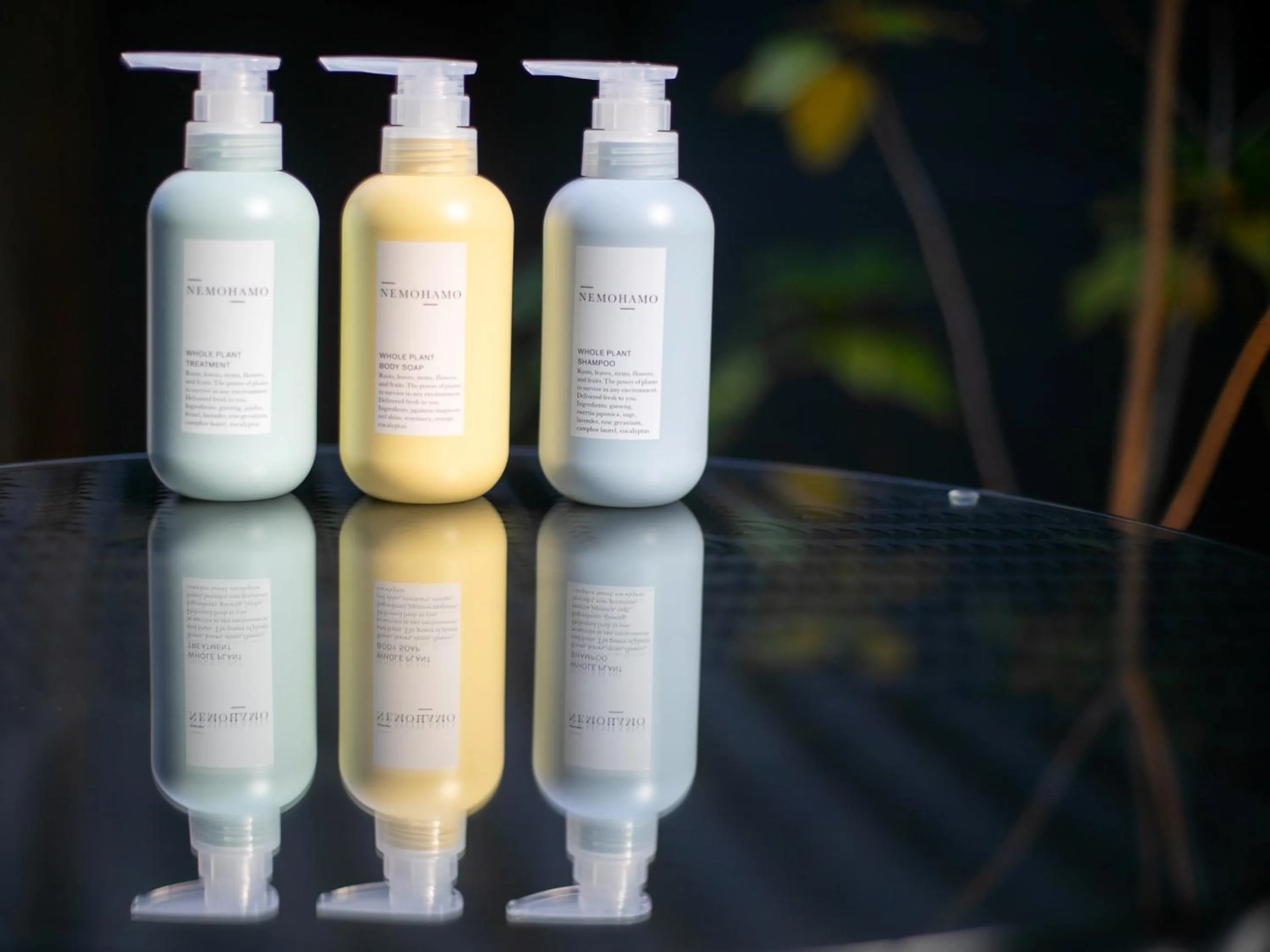 Area and facilities in Yumotoan Kiyohime