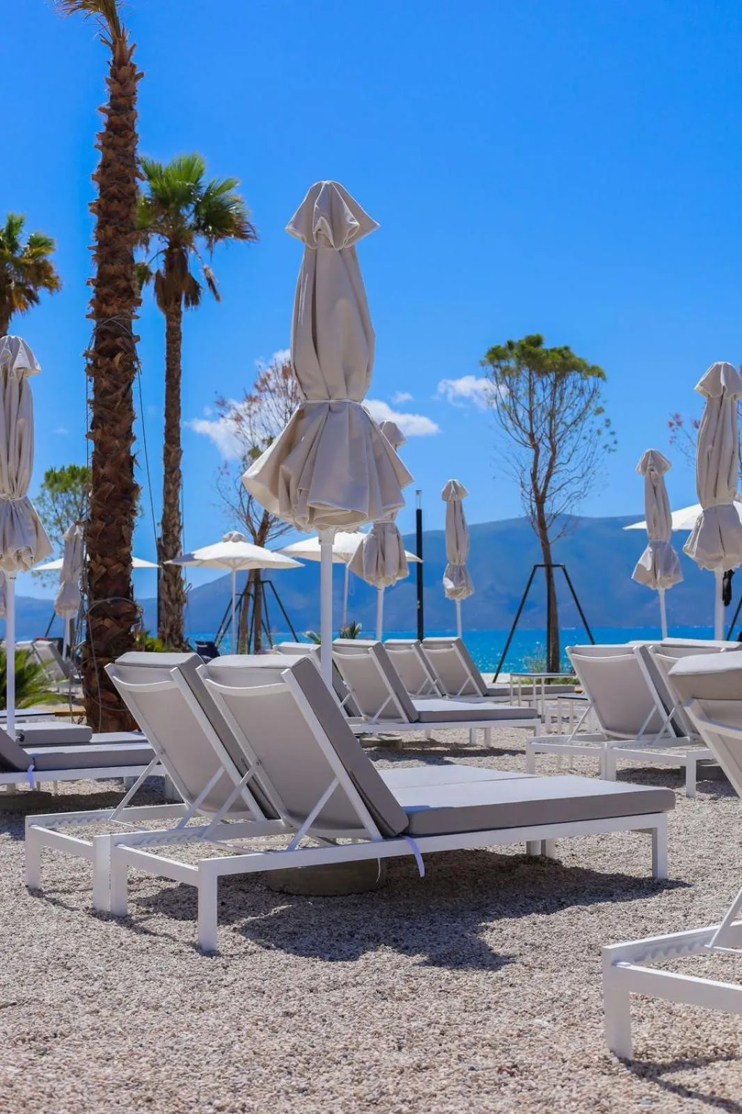 Beach in Belvedere Hotel & SPA