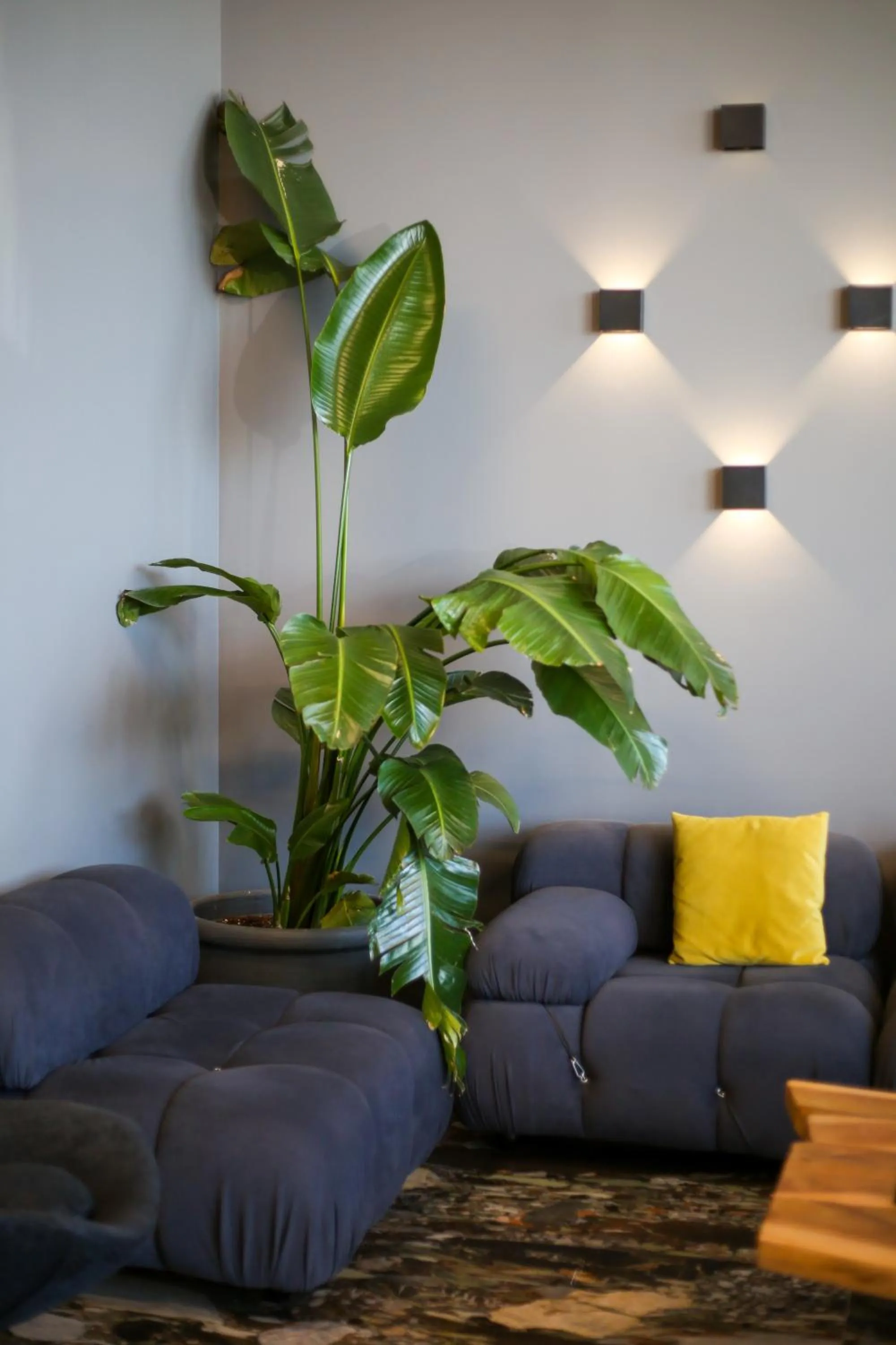 Seating area in Belvedere Hotel & SPA