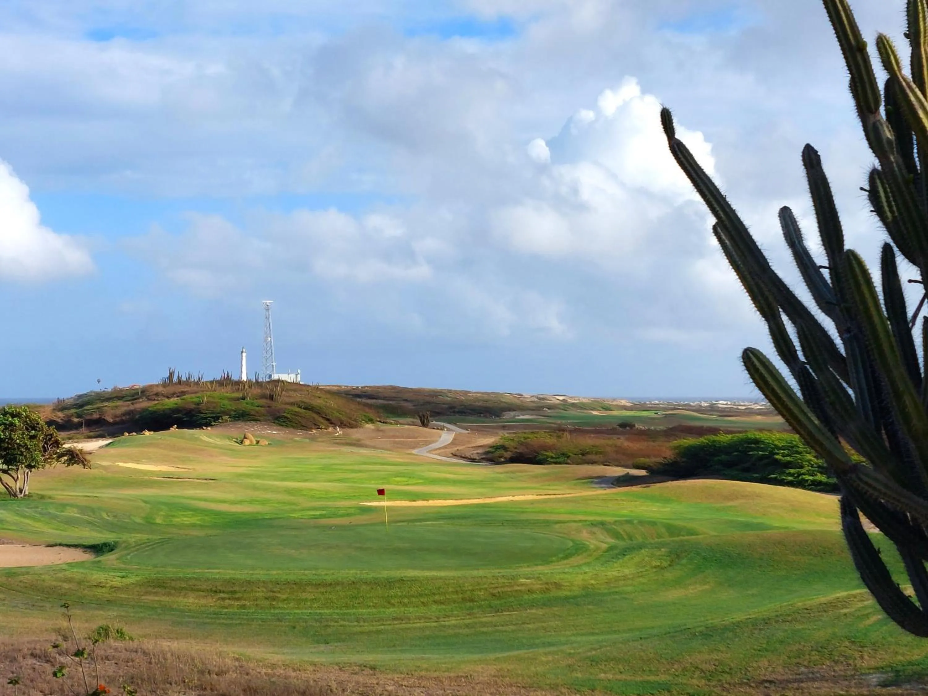 Natural landscape in Bocobay Aracari Condos