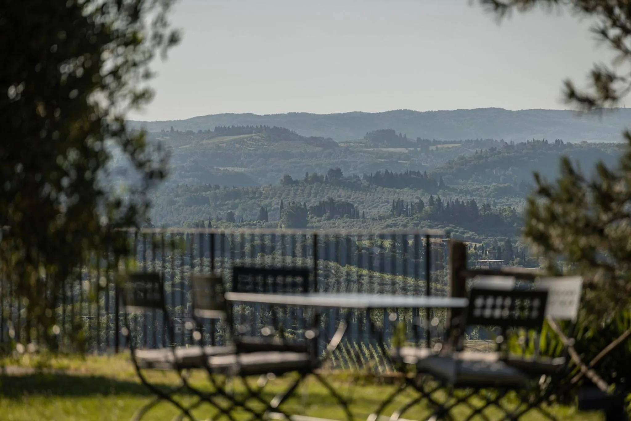 View (from property/room) in Agriturismo La Collina degli Olivi