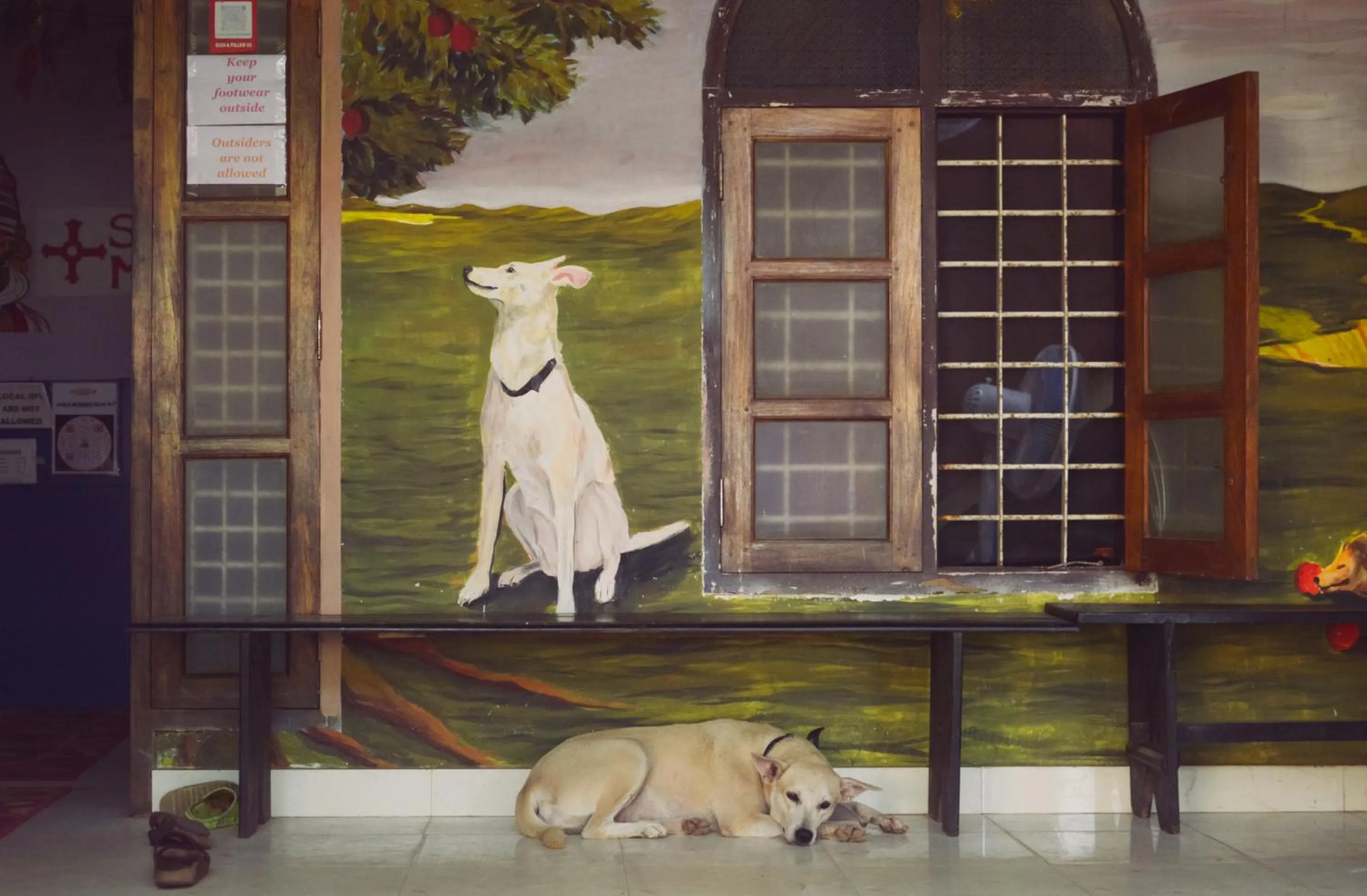 Property building in Santa Maria Hostel, Fort Kochi