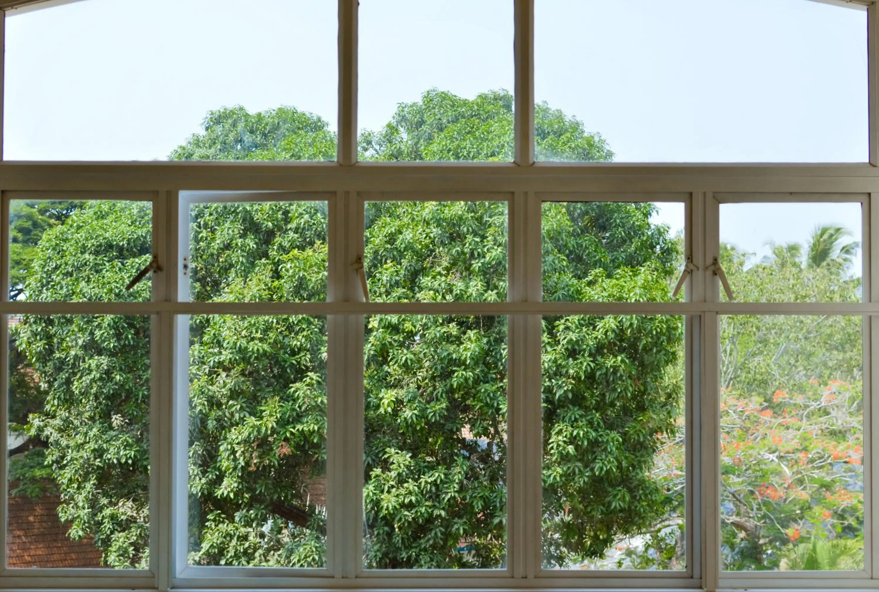 Balcony/Terrace in Santa Maria Hostel, Fort Kochi