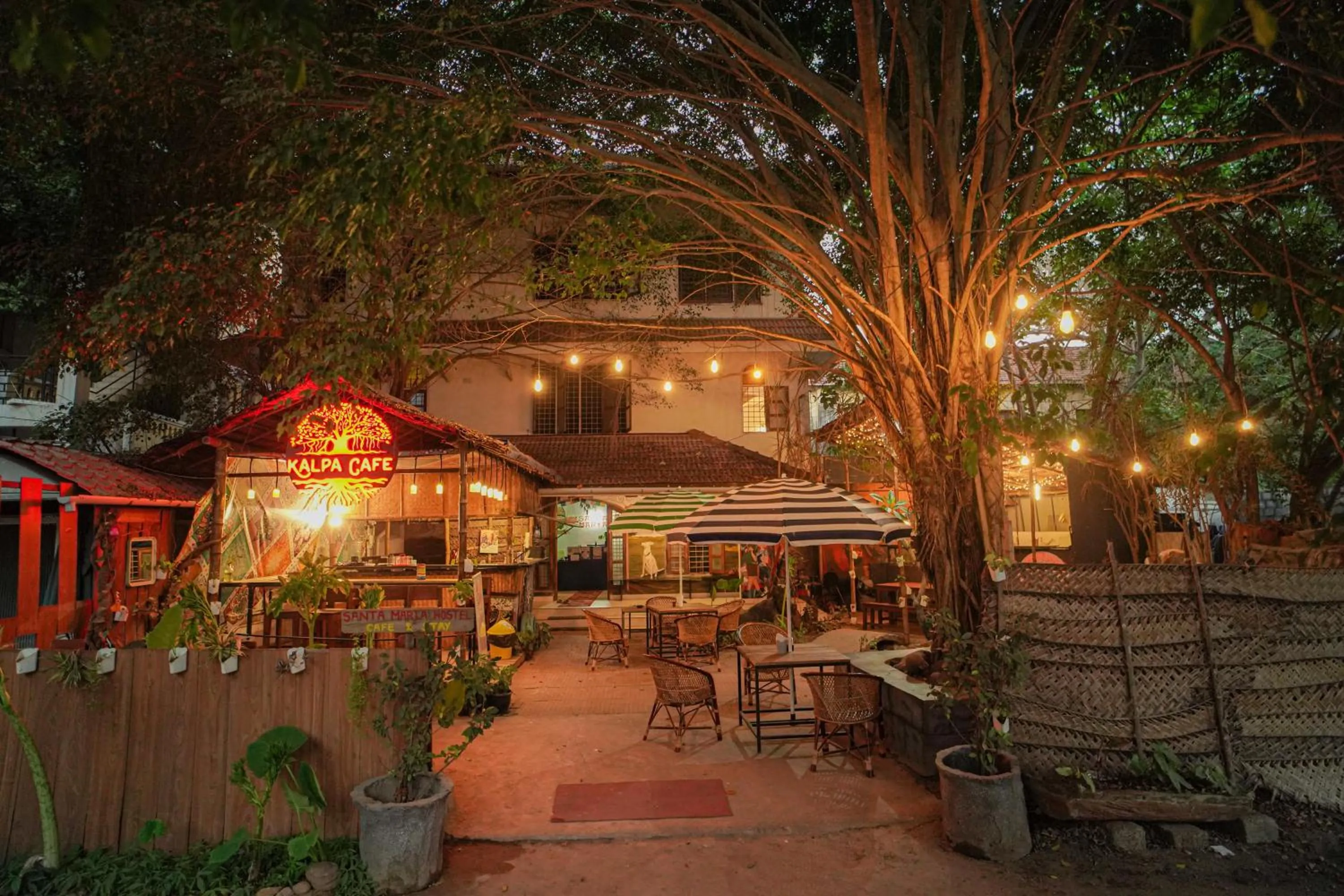 Garden in Santa Maria Hostel, Fort Kochi
