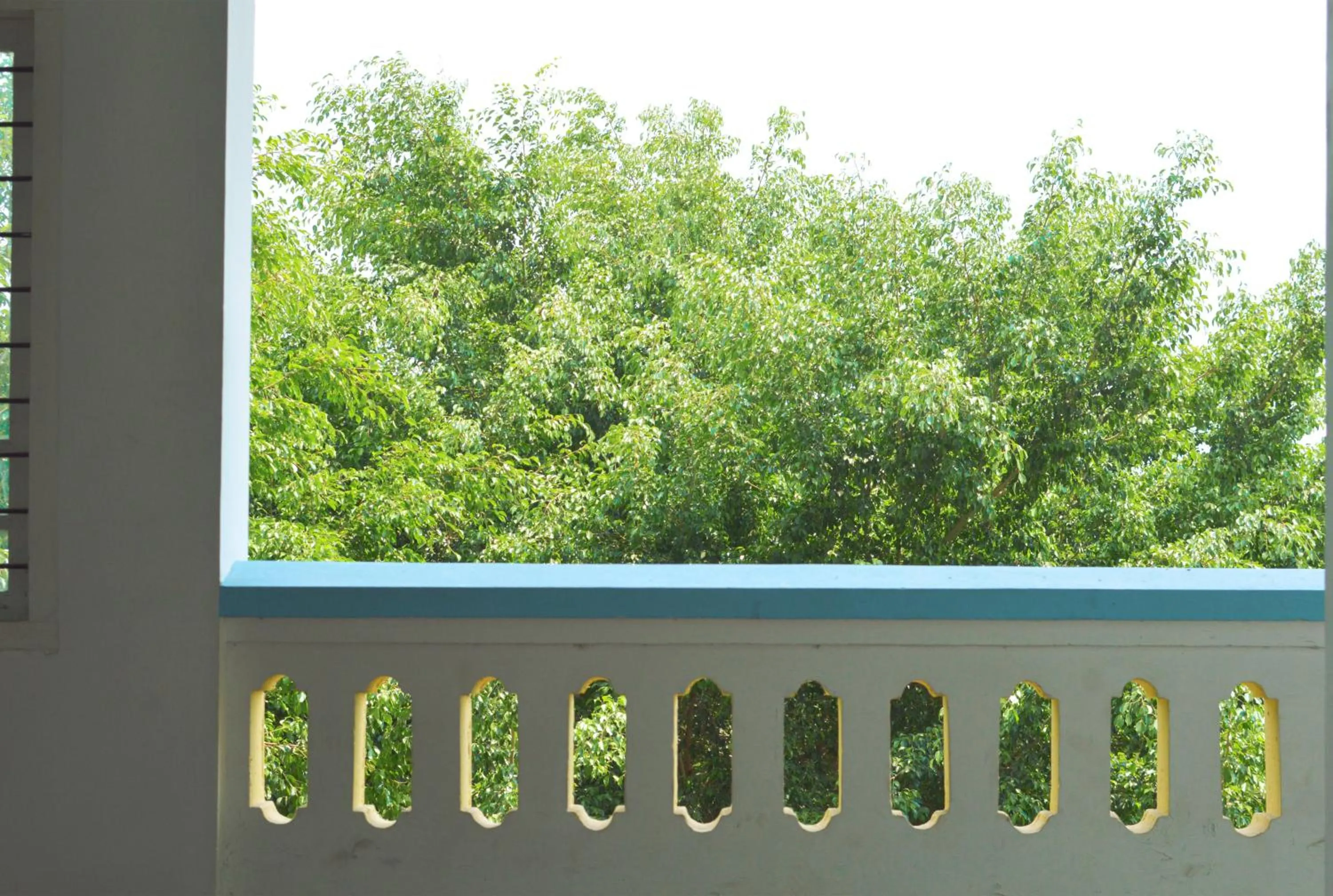 Spring in Santa Maria Hostel, Fort Kochi