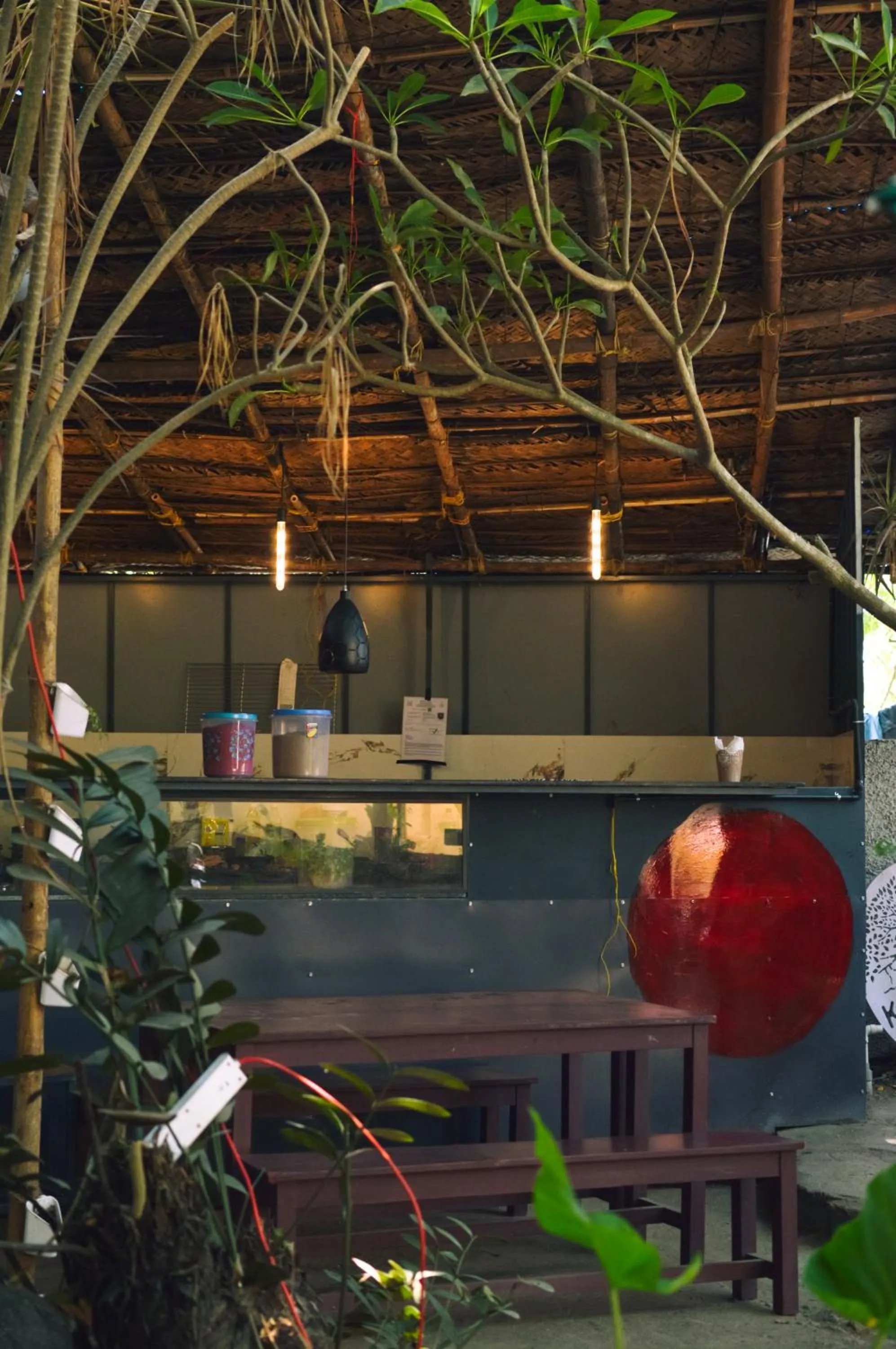 Garden in Santa Maria Hostel, Fort Kochi