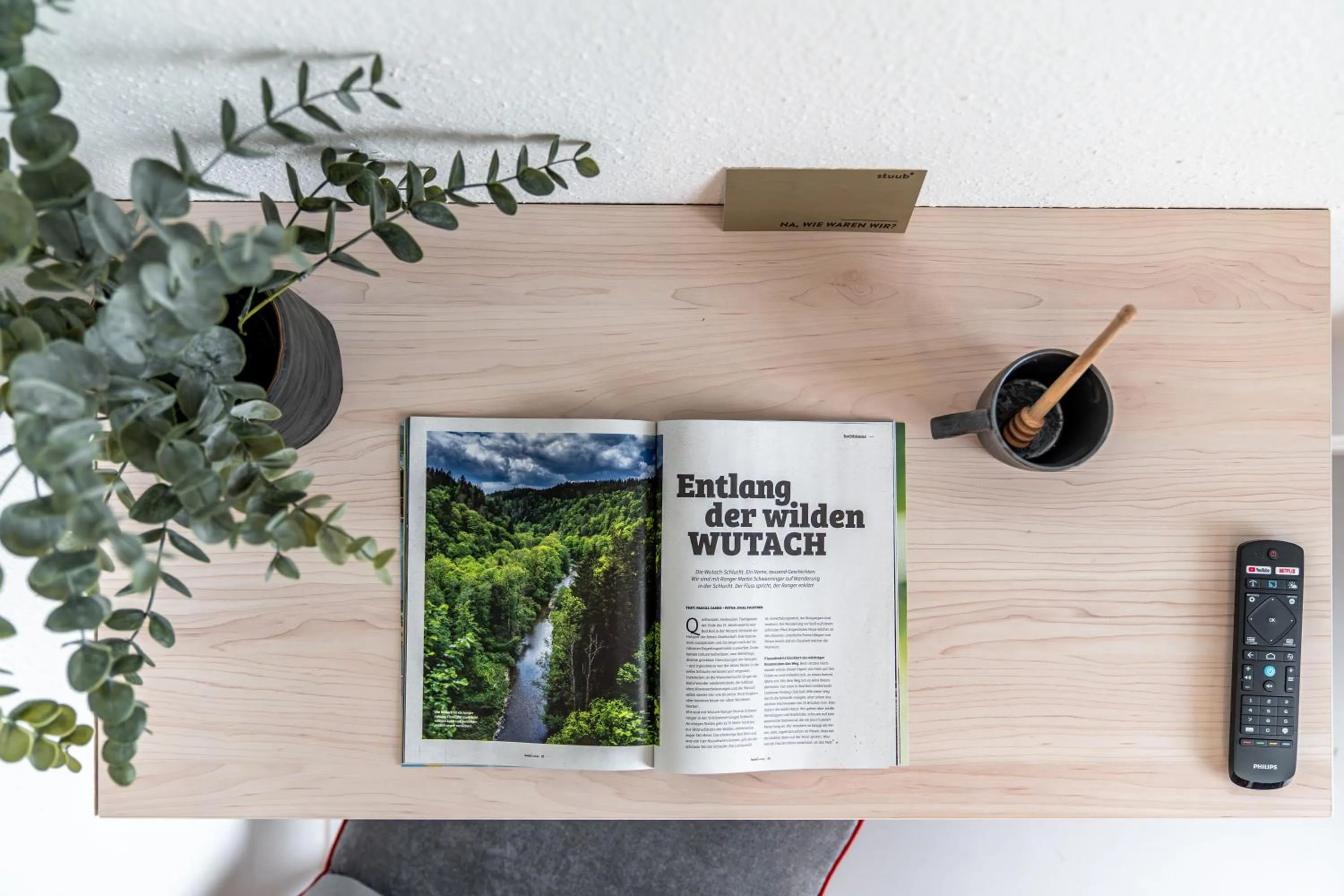 Natural landscape in stuub hinterzarten