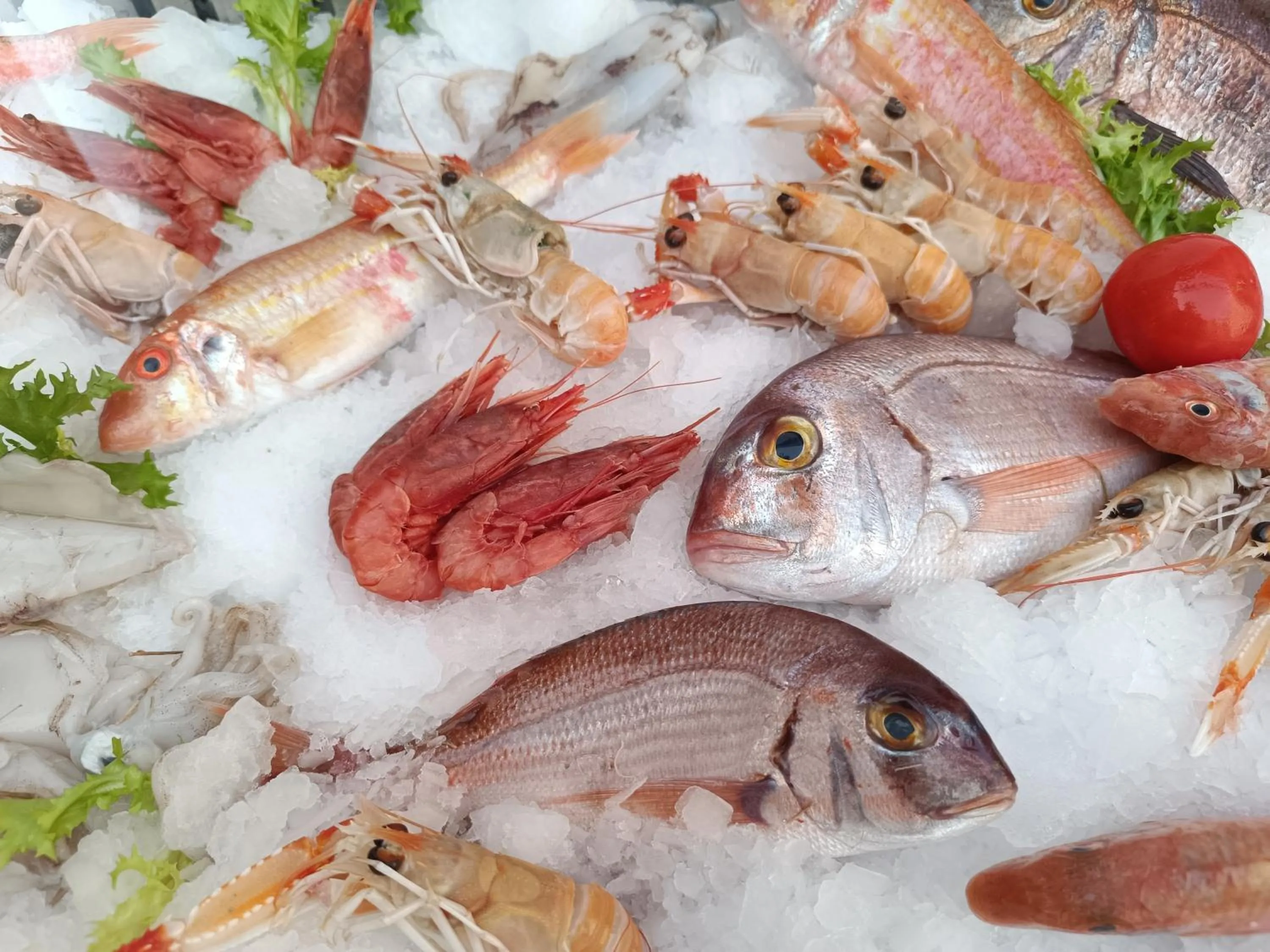 Restaurant/places to eat in Sofi' Center Rooms