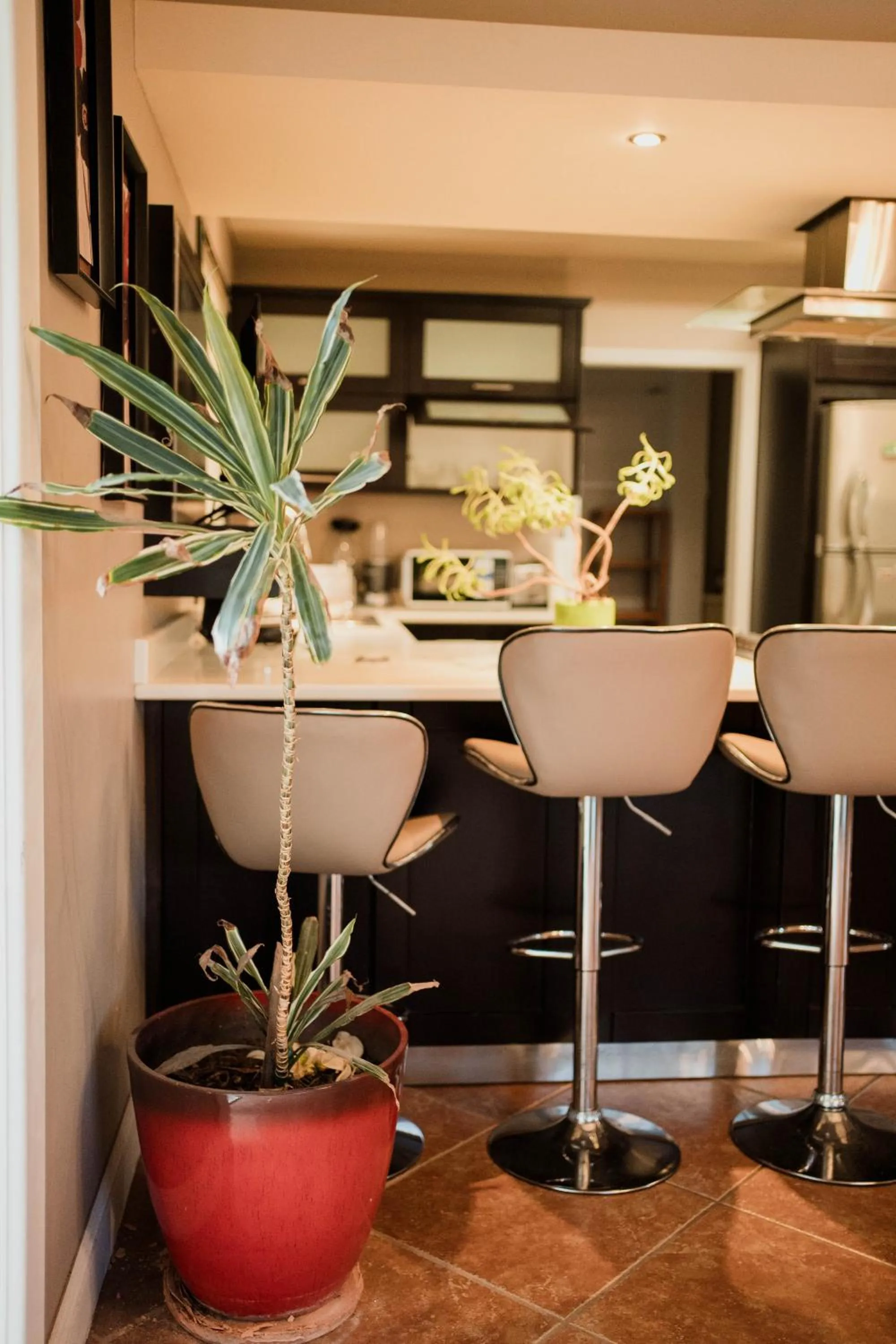 kitchen in Tierra Mia Hacienda Ruta del Vino