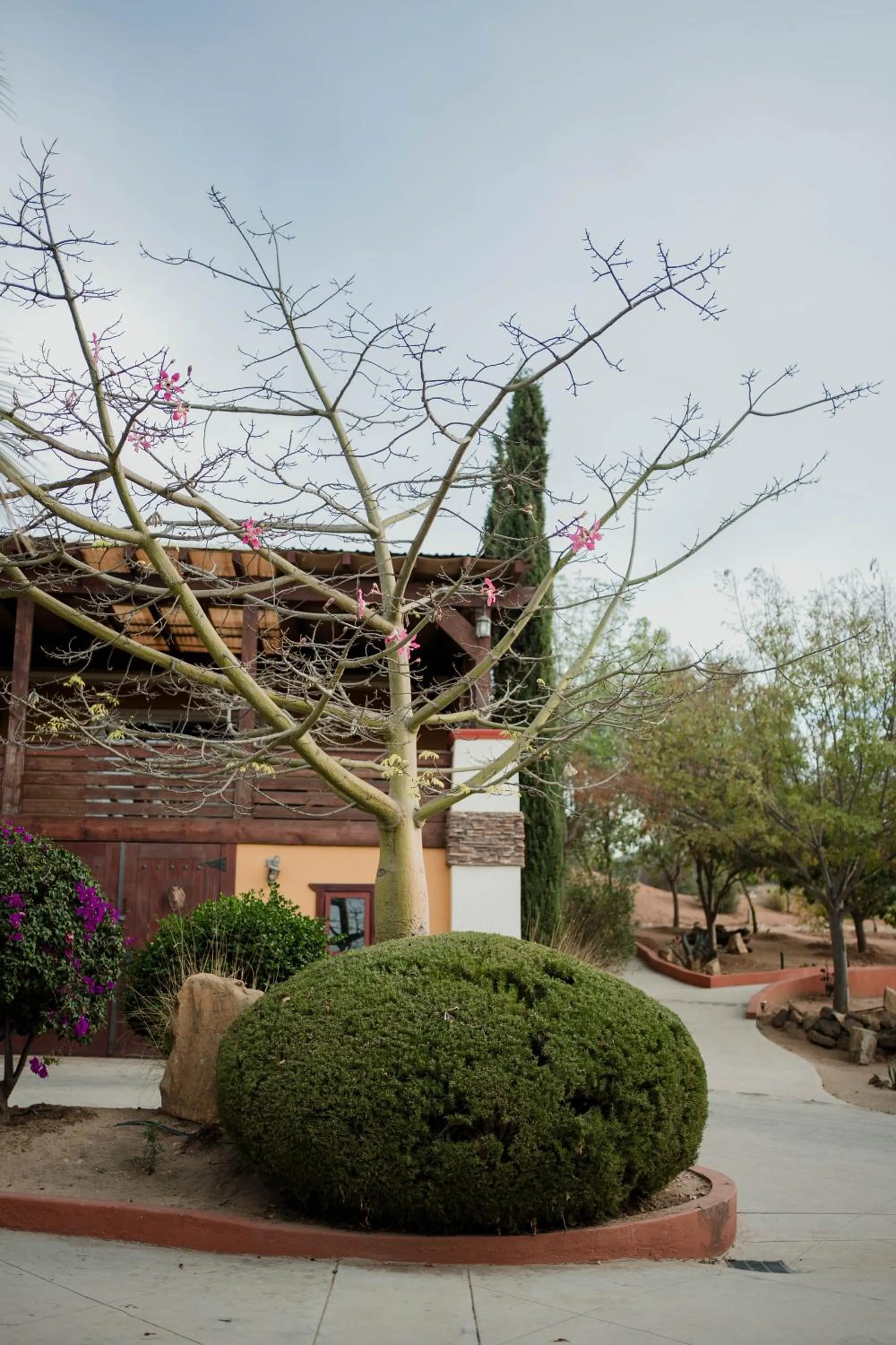 Garden view in Tierra Mia Hacienda Ruta del Vino