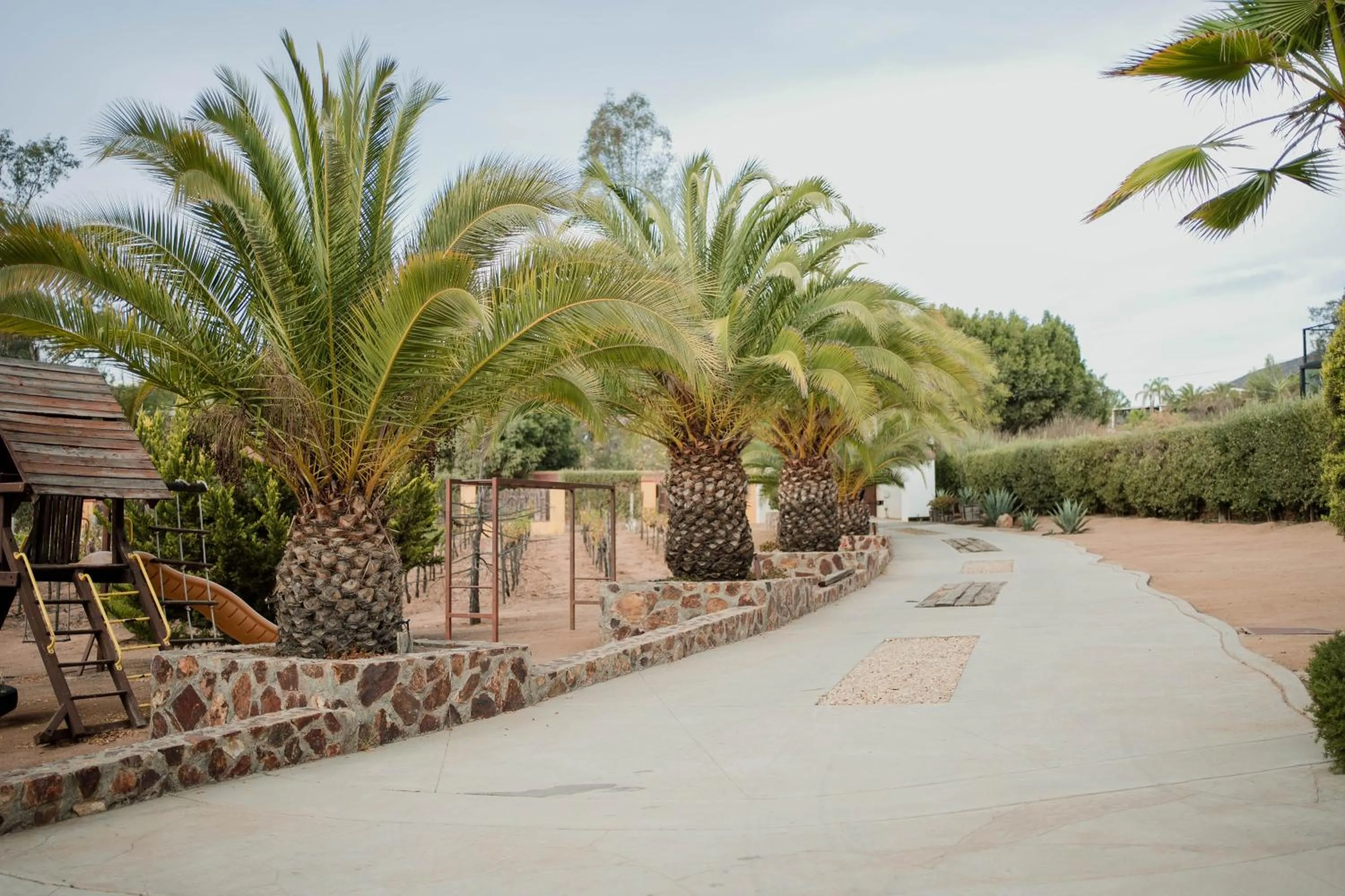 Garden view in Tierra Mia Hacienda Ruta del Vino