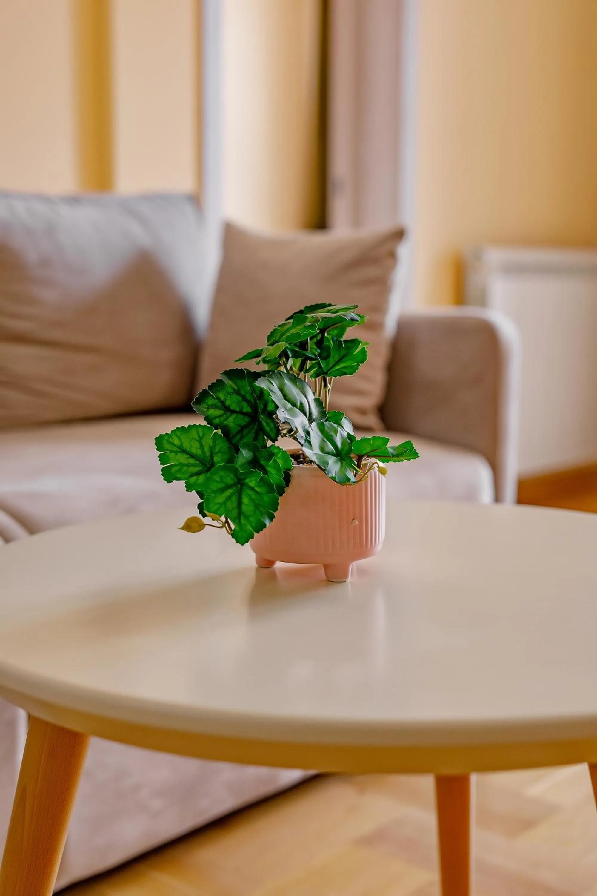 Living room in Hotel AirStar