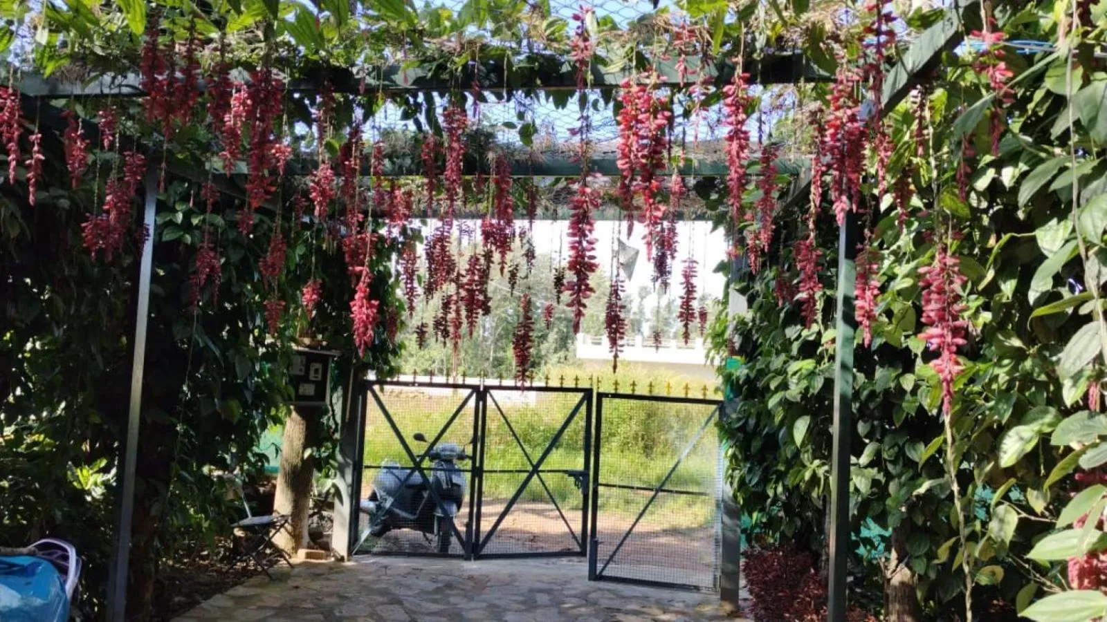 Garden in Cholai Resorts & Hotels