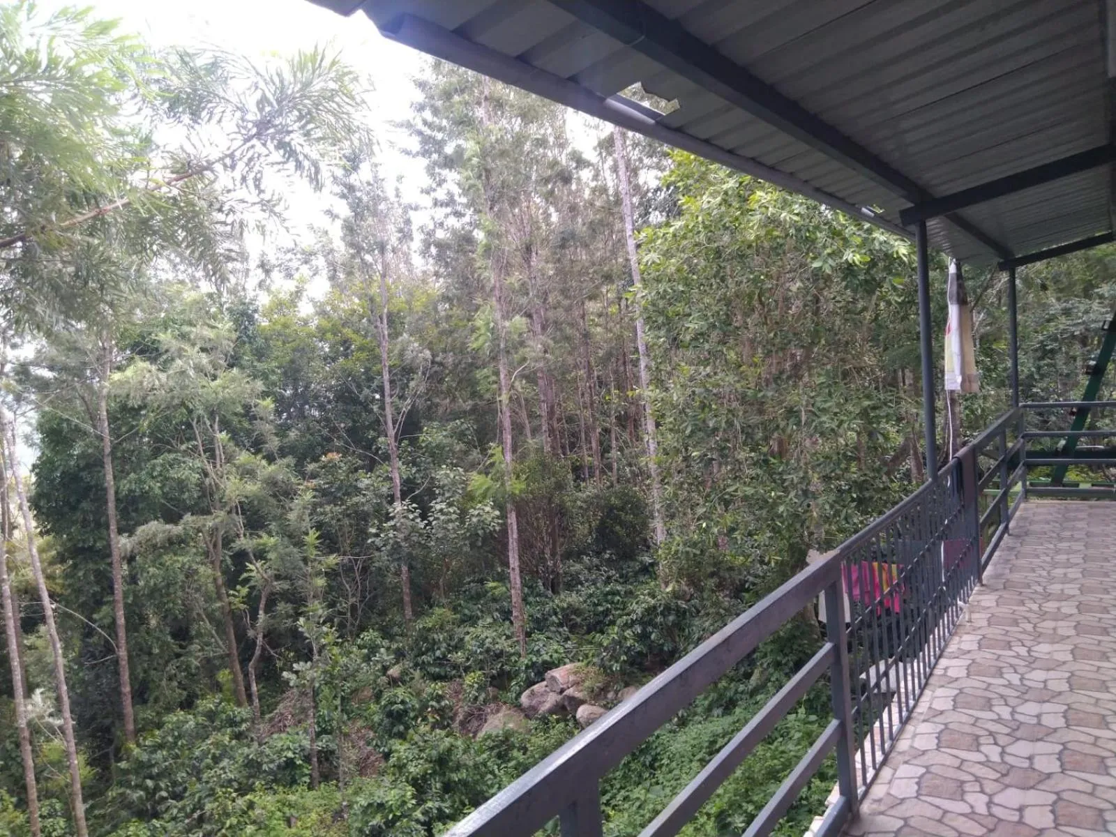 View (from property/room) in Cholai Resorts & Hotels