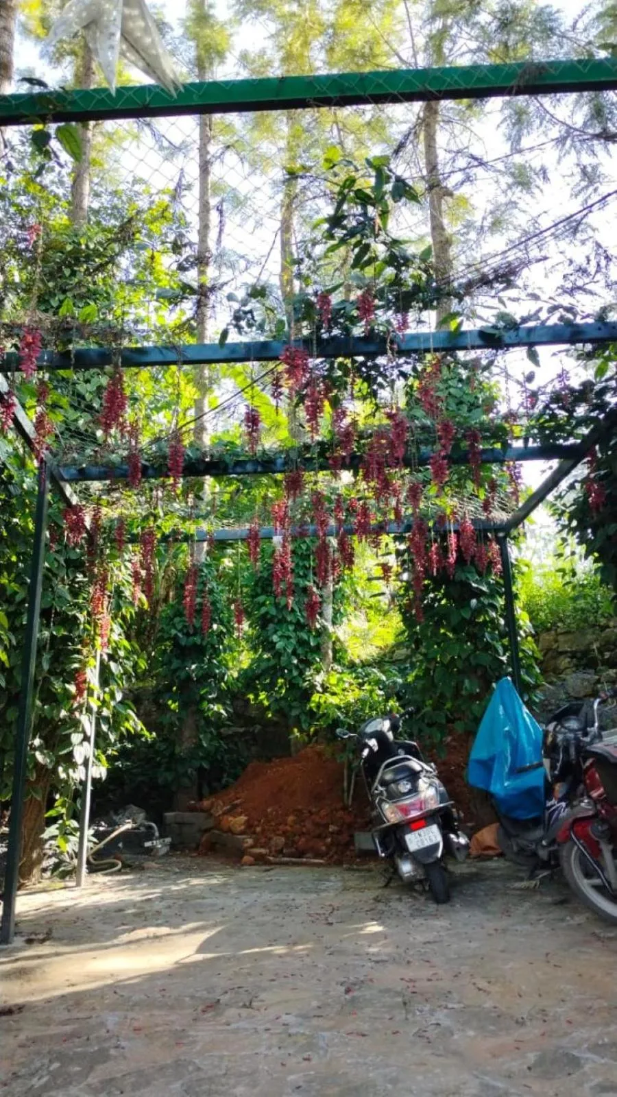 Facade/entrance in Cholai Resorts & Hotels