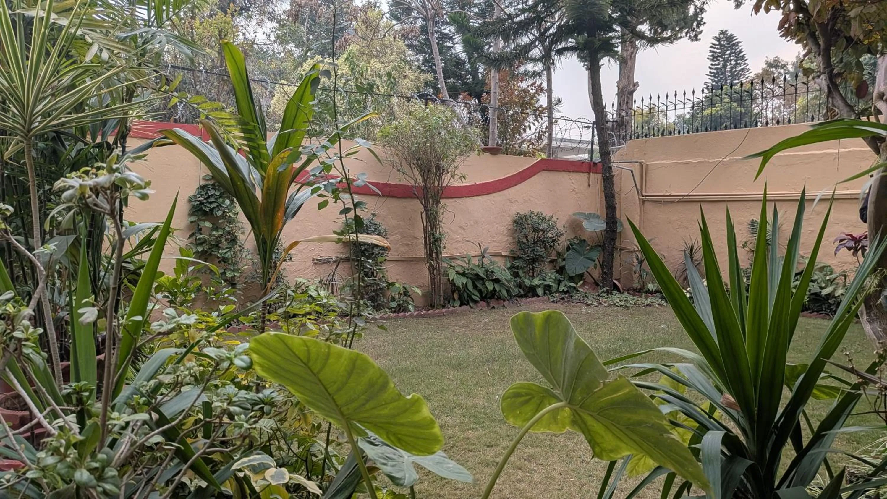 Executive Royal Garden