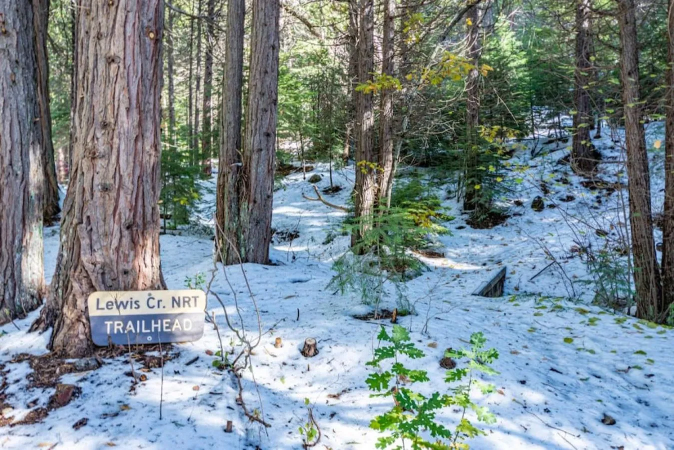 Corlieu Falls Cabin in Sugar Pine 8 miles from Yosemite with Gazebo, Hot tub a shack and Bar top