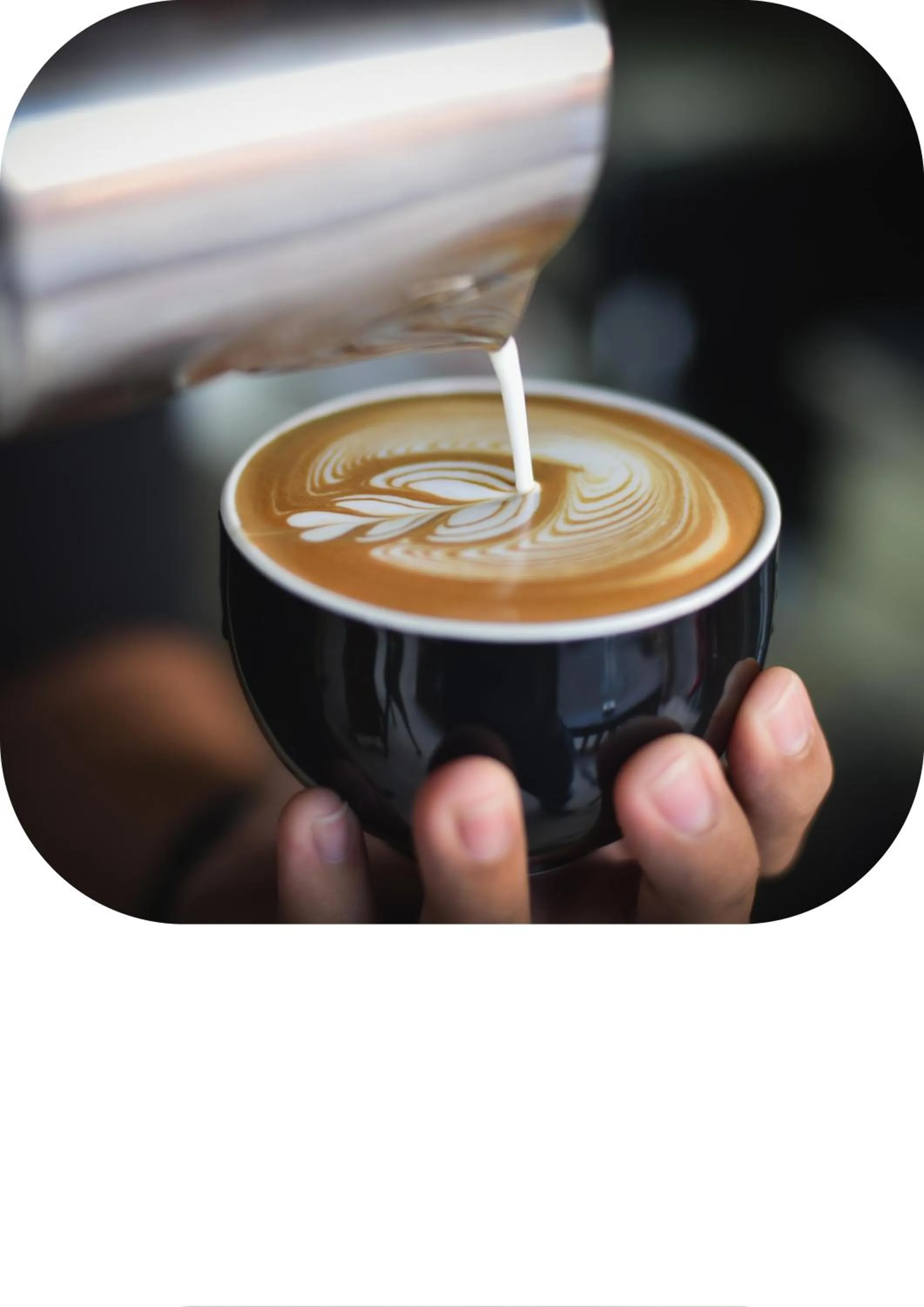 Restaurant/places to eat in Far Life Hotel