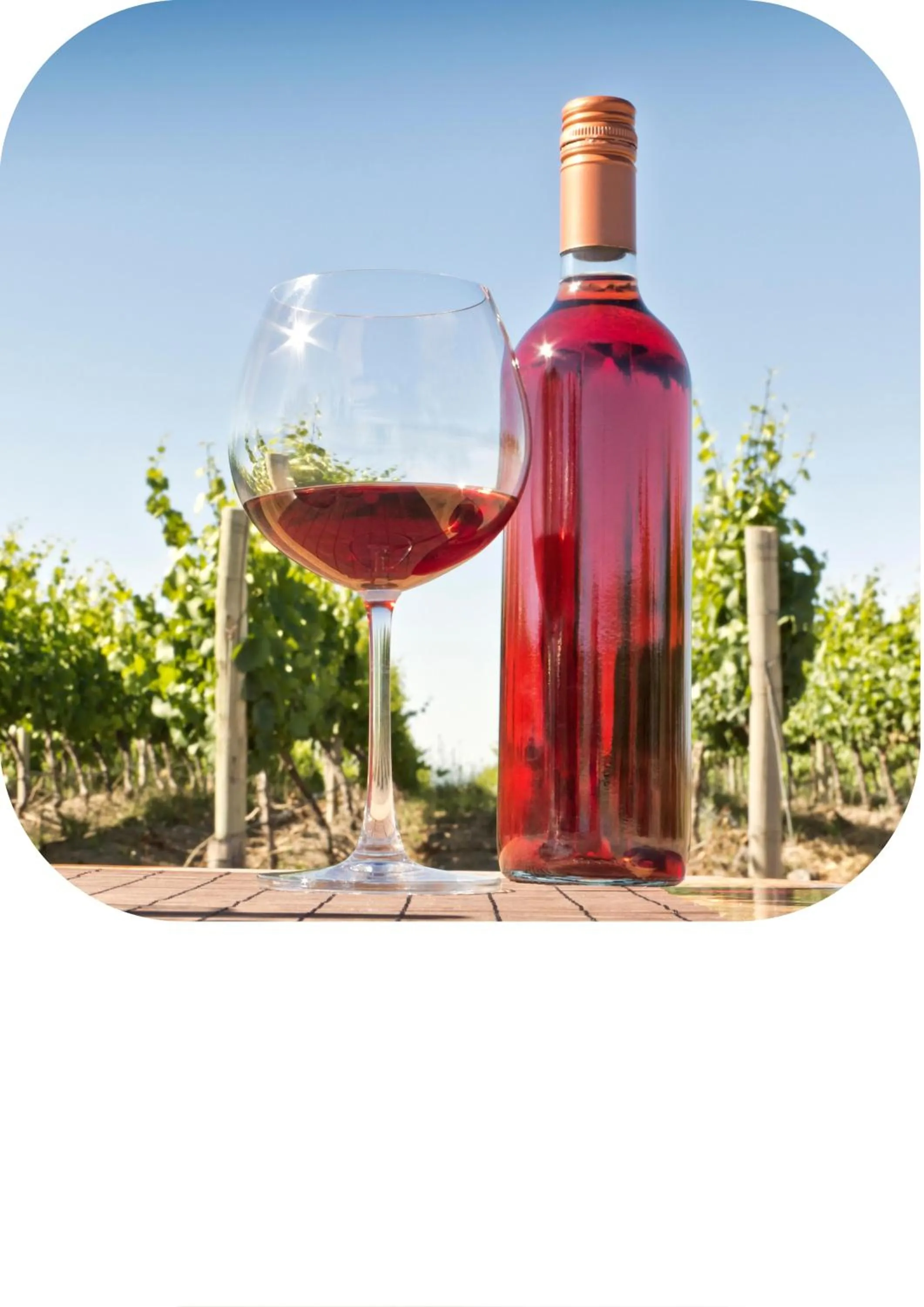 Restaurant/places to eat in Far Life Hotel