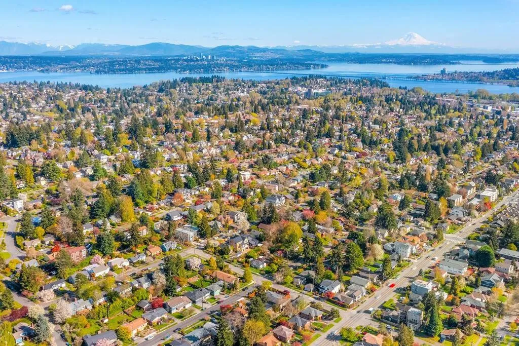 Lilac In Law, Picturesque lower unit