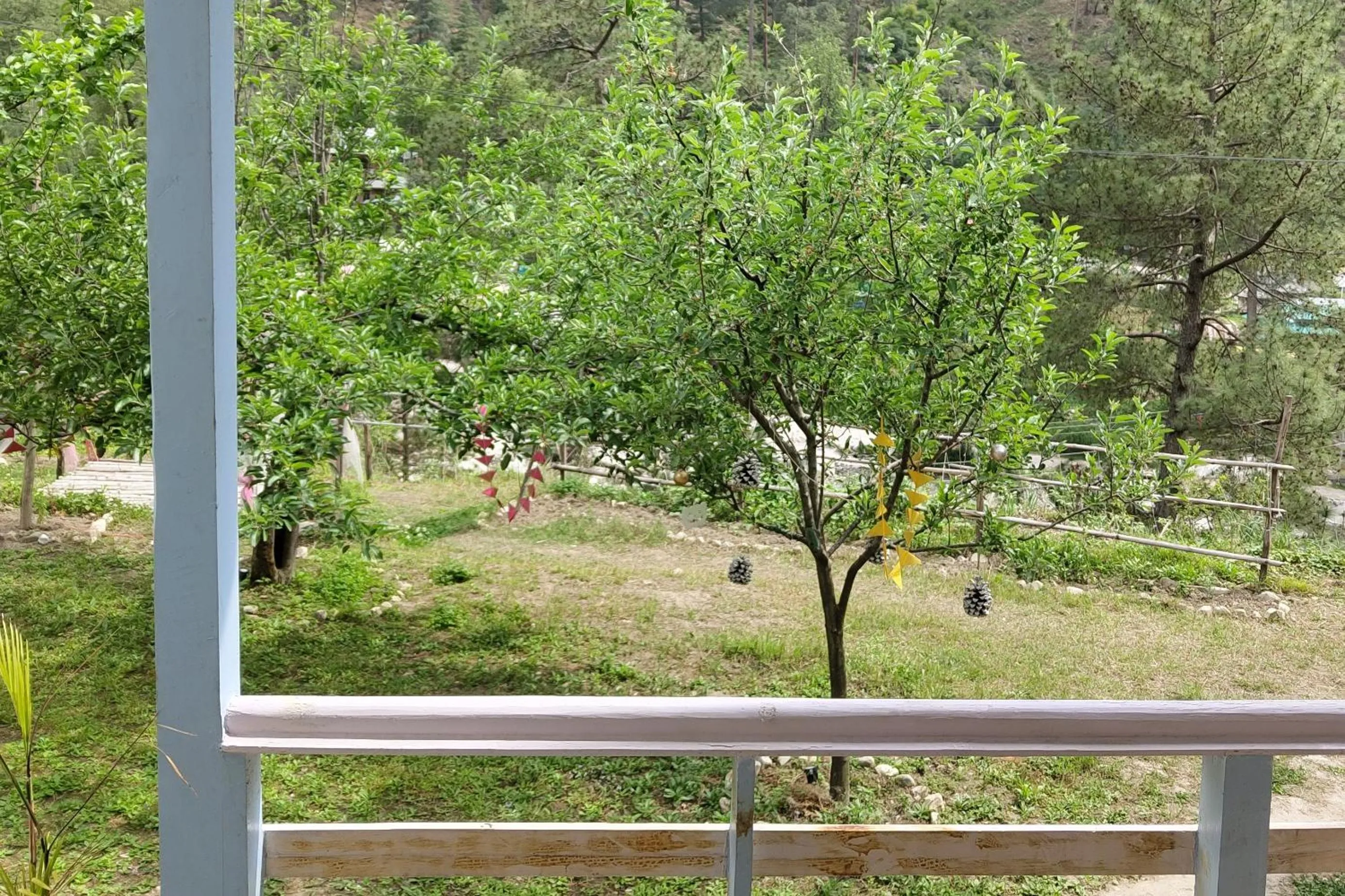 Day in The Stream Kasol