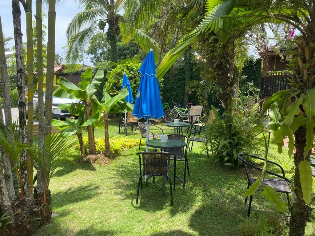 Garden view in Posada Nena Caribe