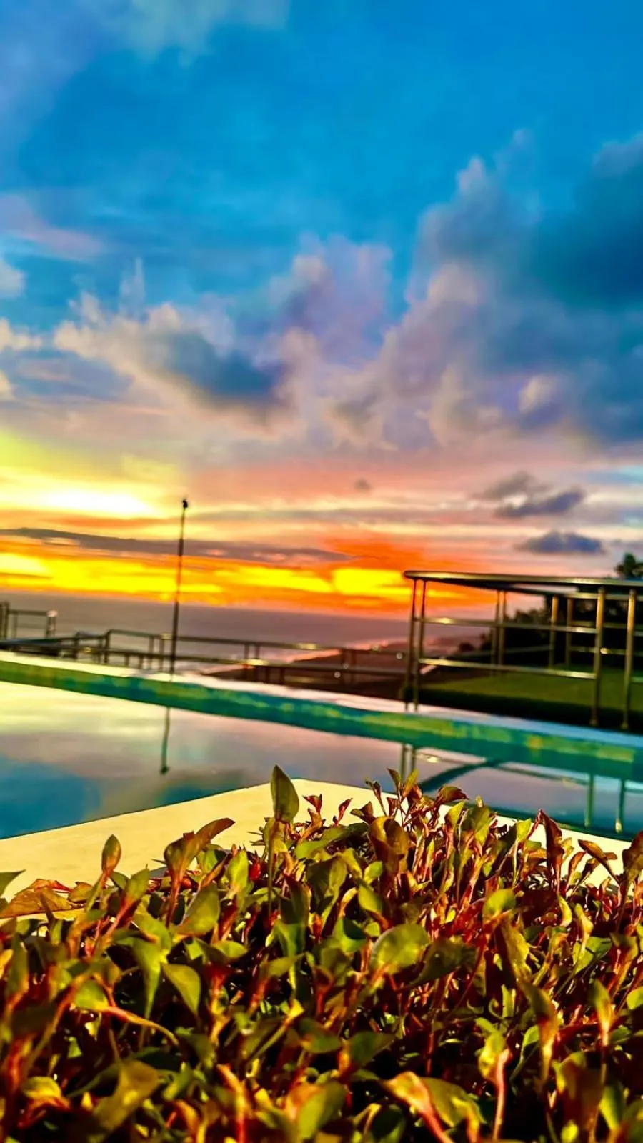 Swimming pool in Glamping Omah Kayu at Watu Paris Jogja