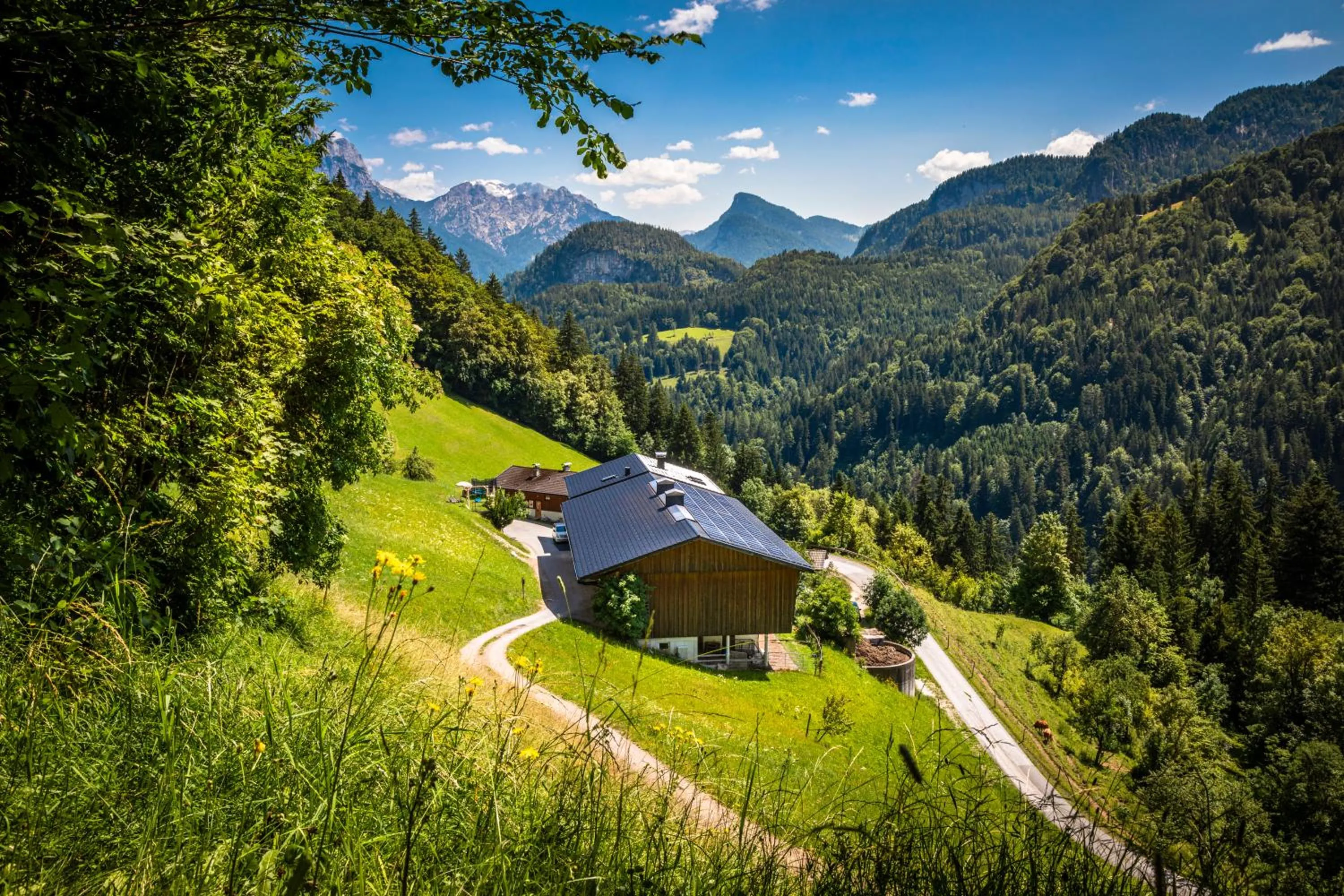 Natural landscape in Biobauernhof Schneiderbauer