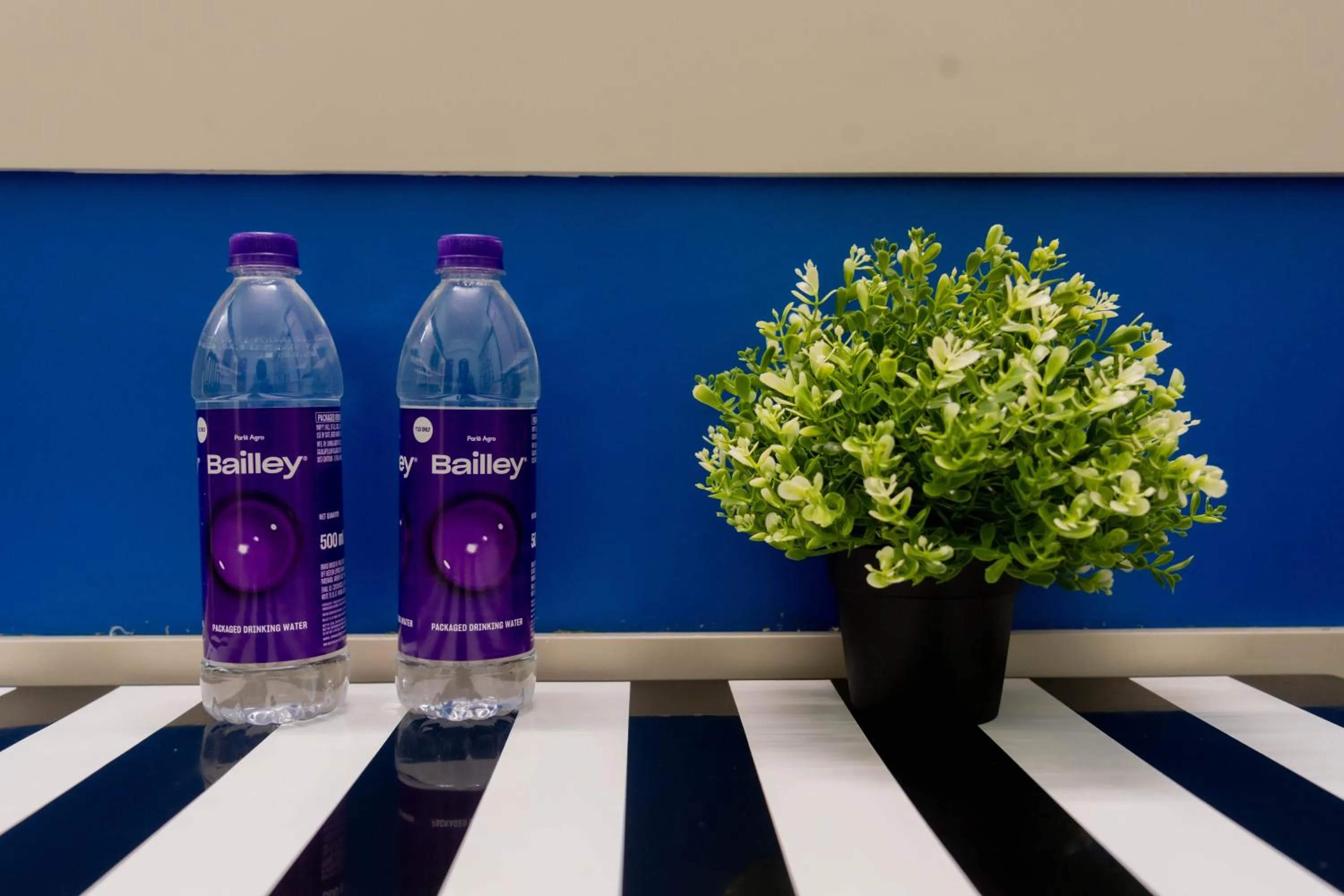 Area and facilities in Sree Theja Residency