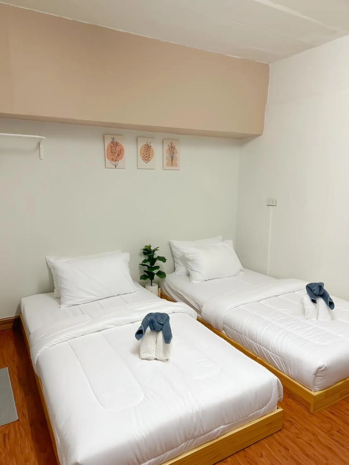 Bed in MONTANA Hotel & Hostel Phuket