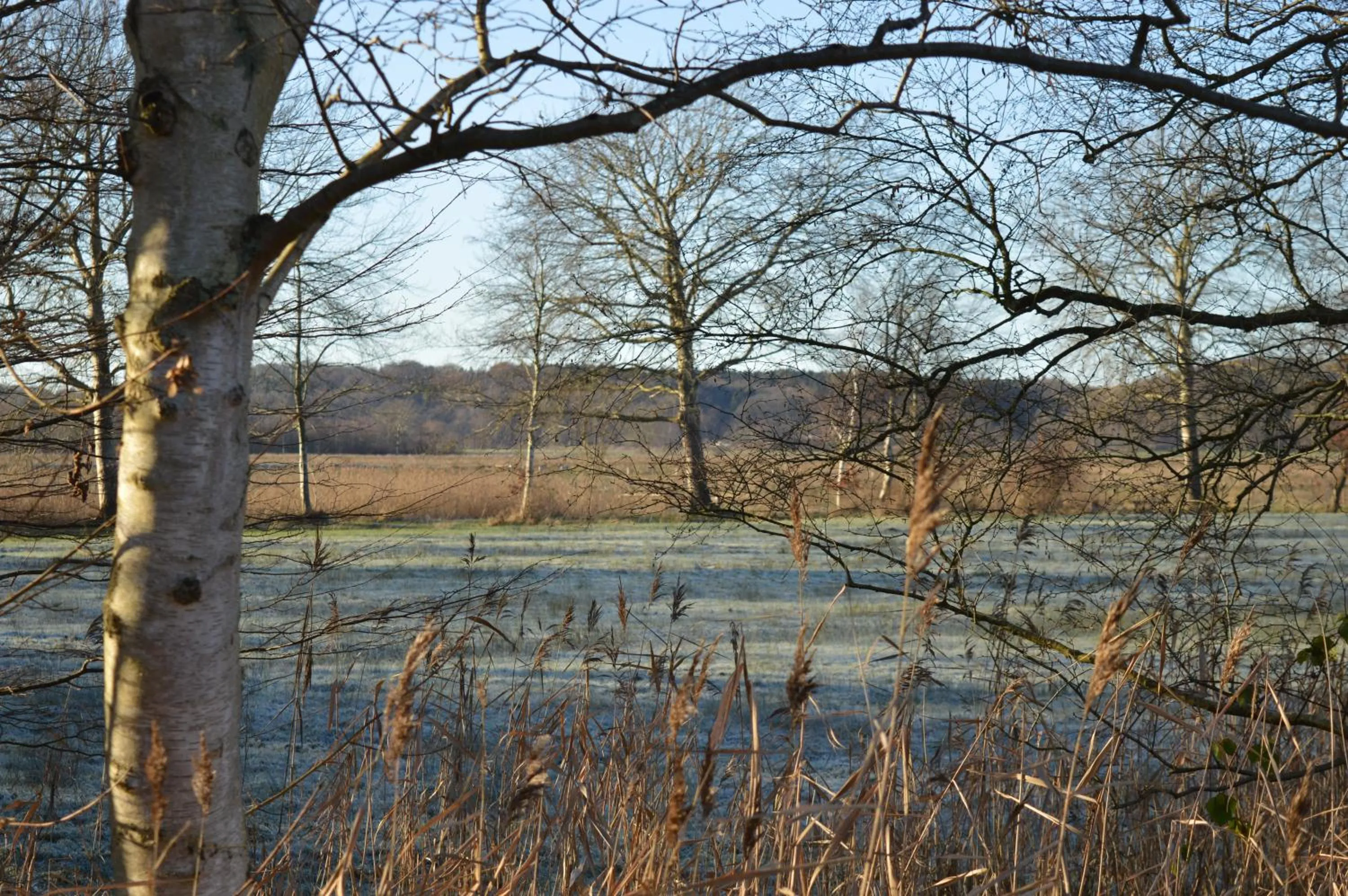 Staff in Burger Fährhaus