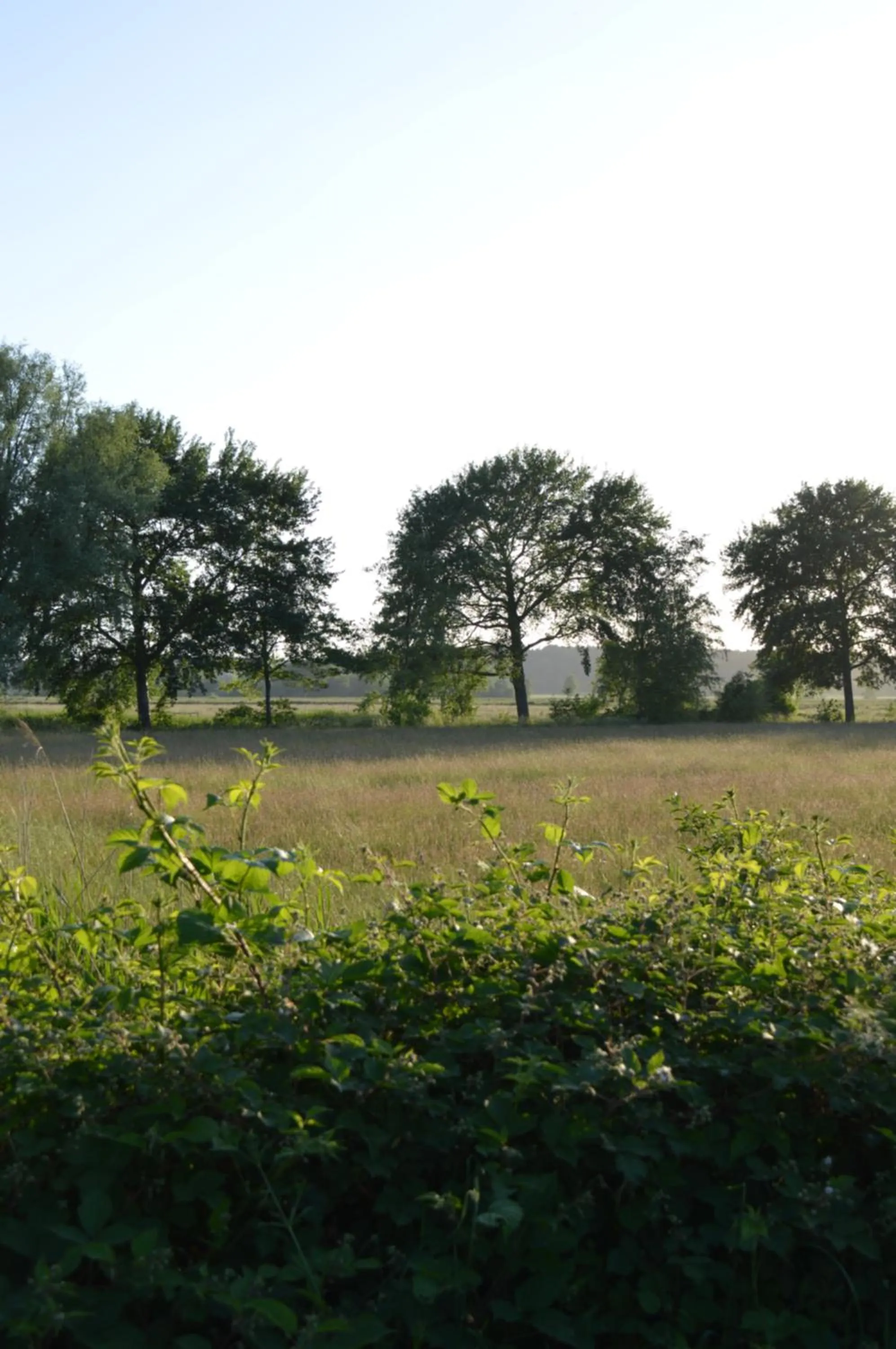 Spring in Burger Fährhaus