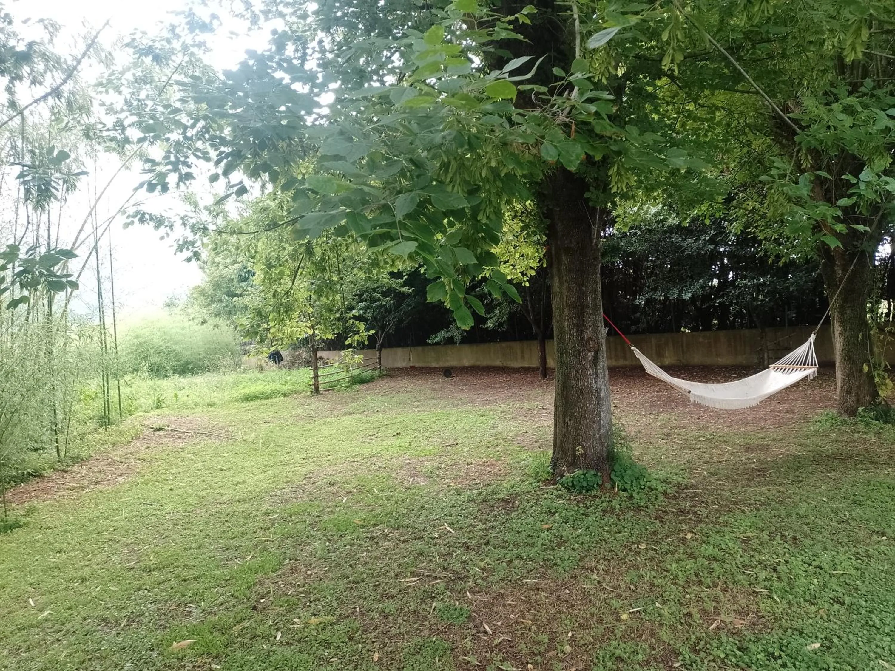 Garden in Villa Marinsky Pietrasanta