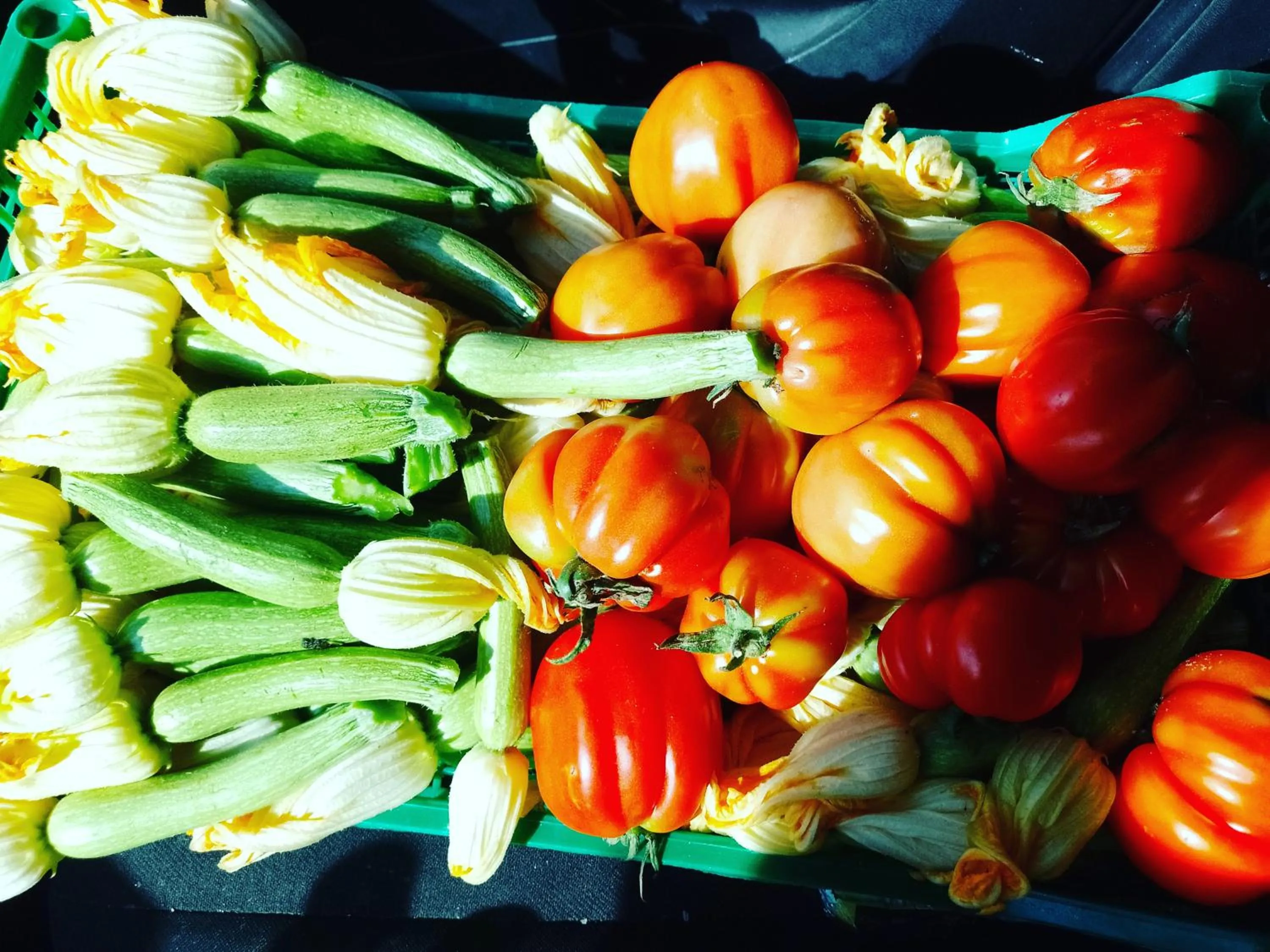 Food in Villa Marinsky Pietrasanta