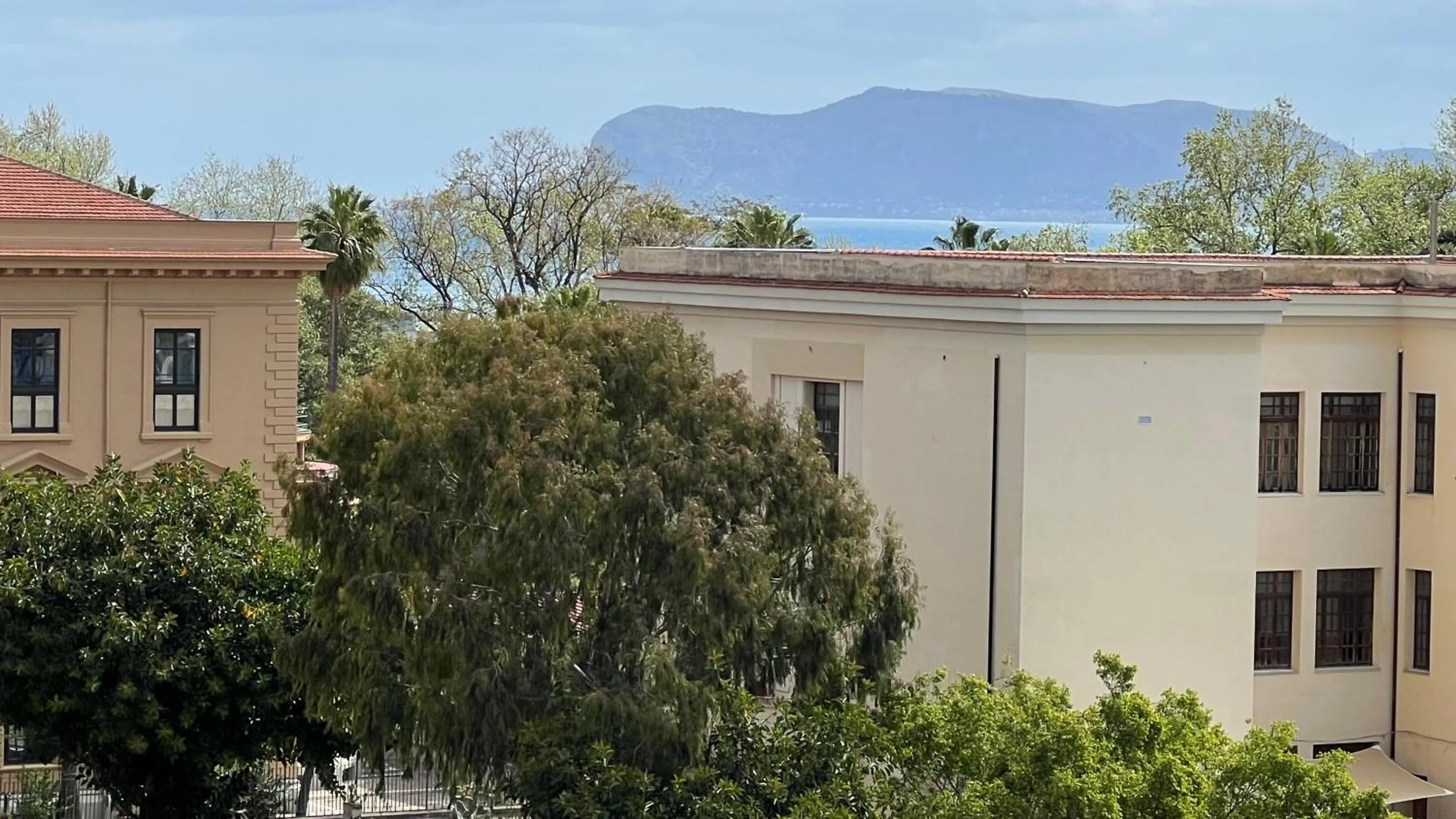 Natural landscape in Large flat near Botanical Garden & Central Station