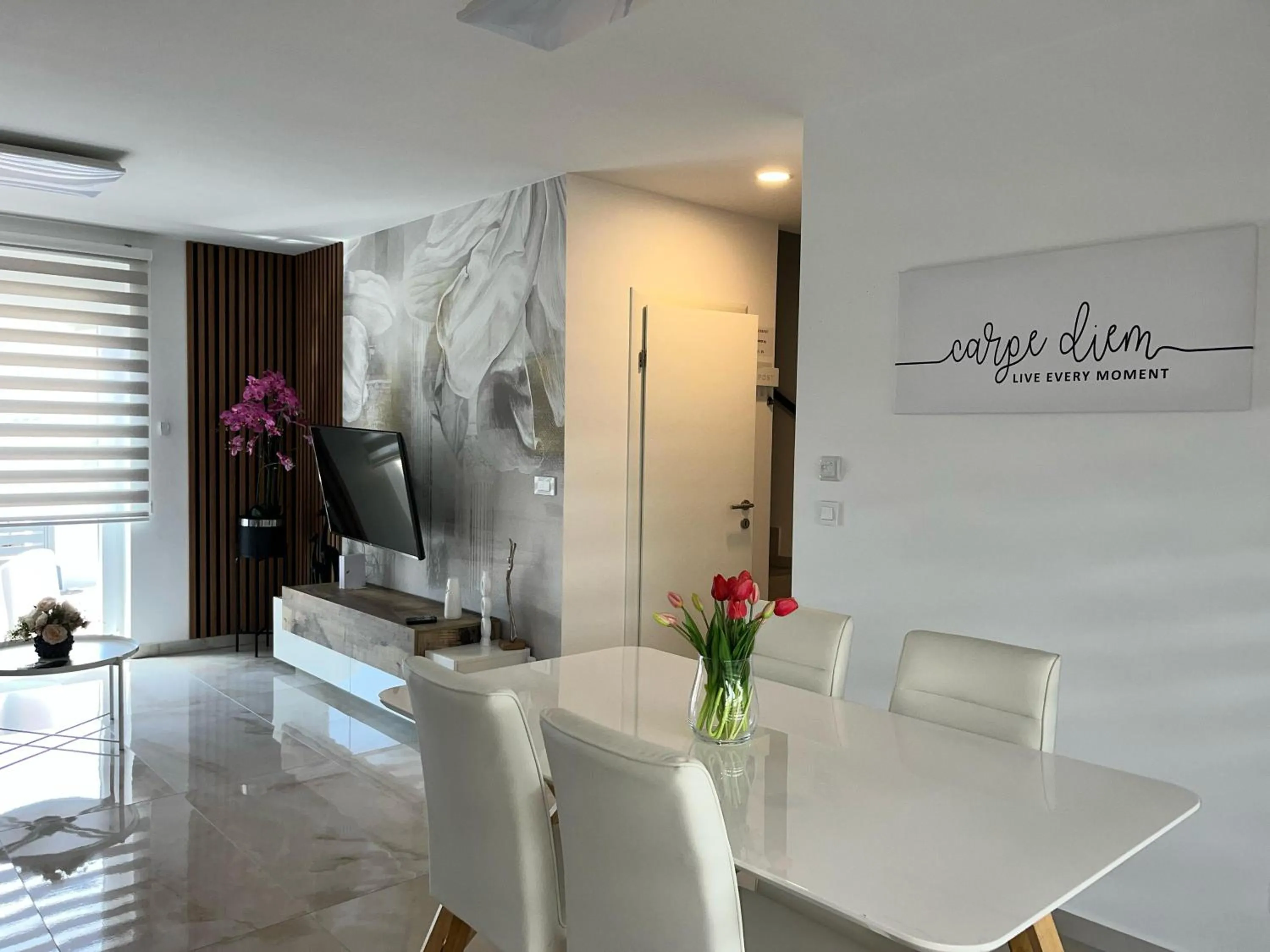 TV and multimedia in Villa Carpe diem