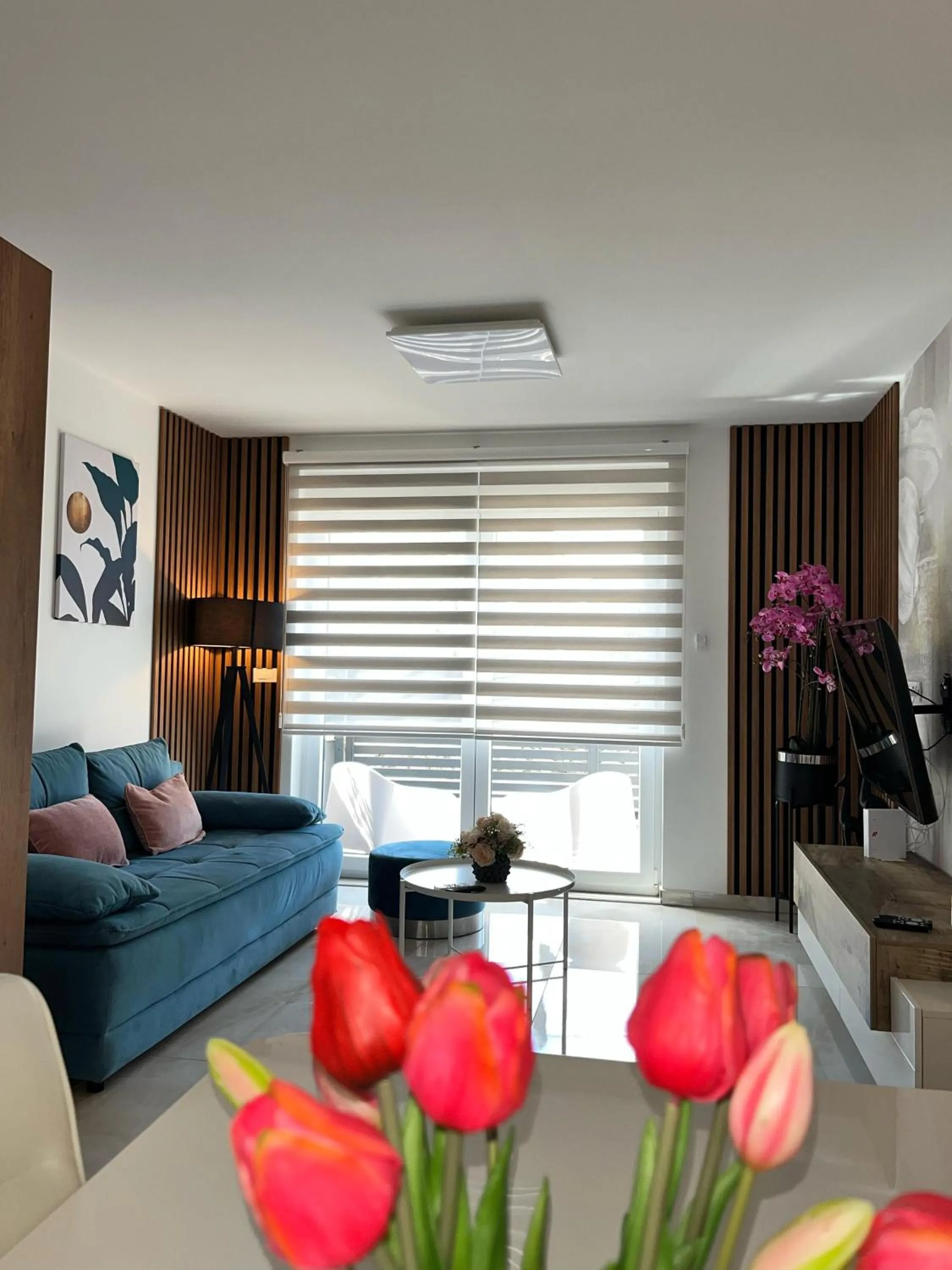 TV and multimedia in Villa Carpe diem