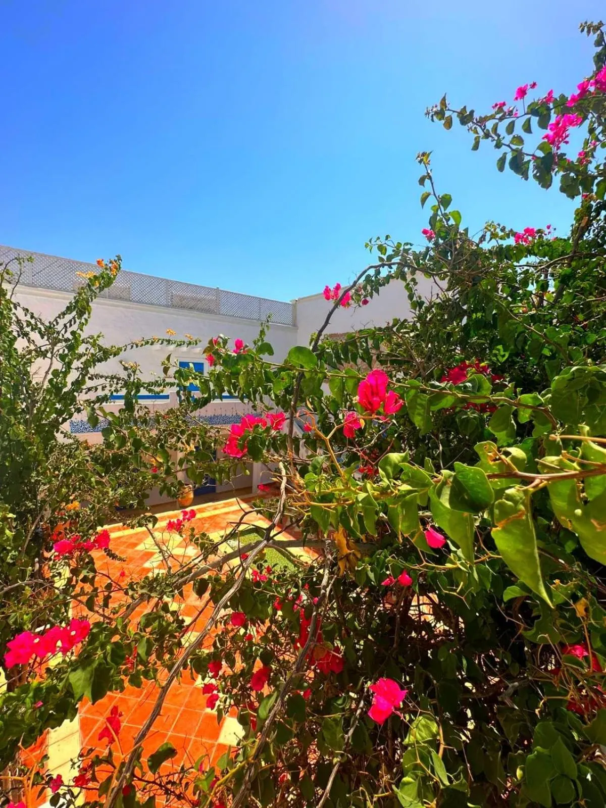 Day in Le Patio de Mezraya