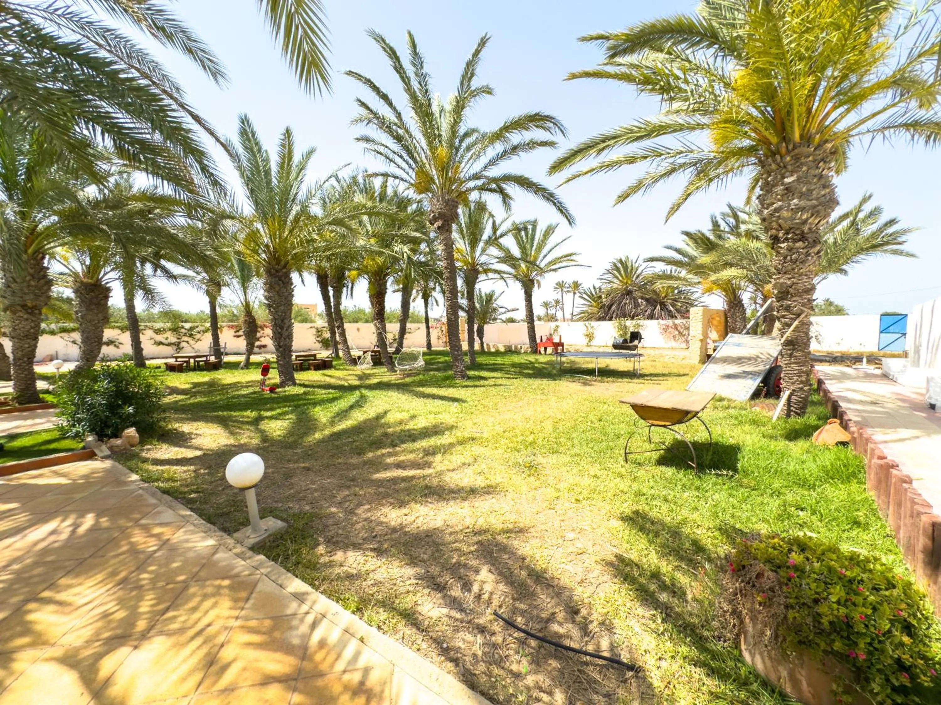 Garden in Le Patio de Mezraya