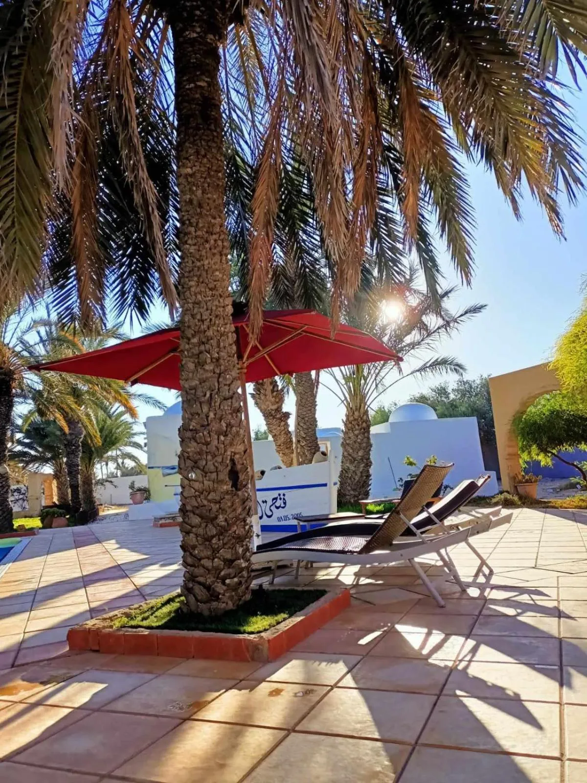 Day in Le Patio de Mezraya