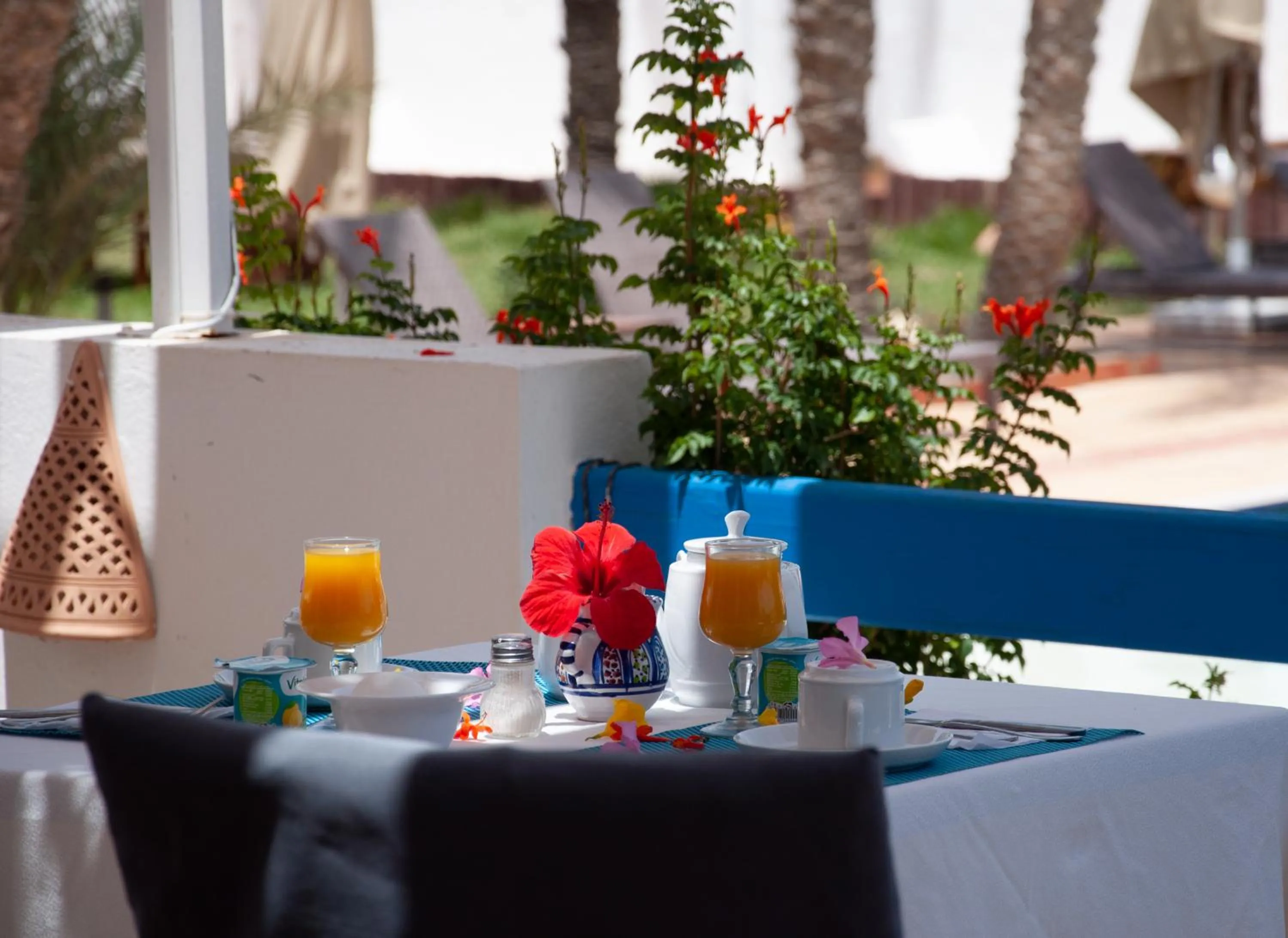 Day in Le Patio de Mezraya