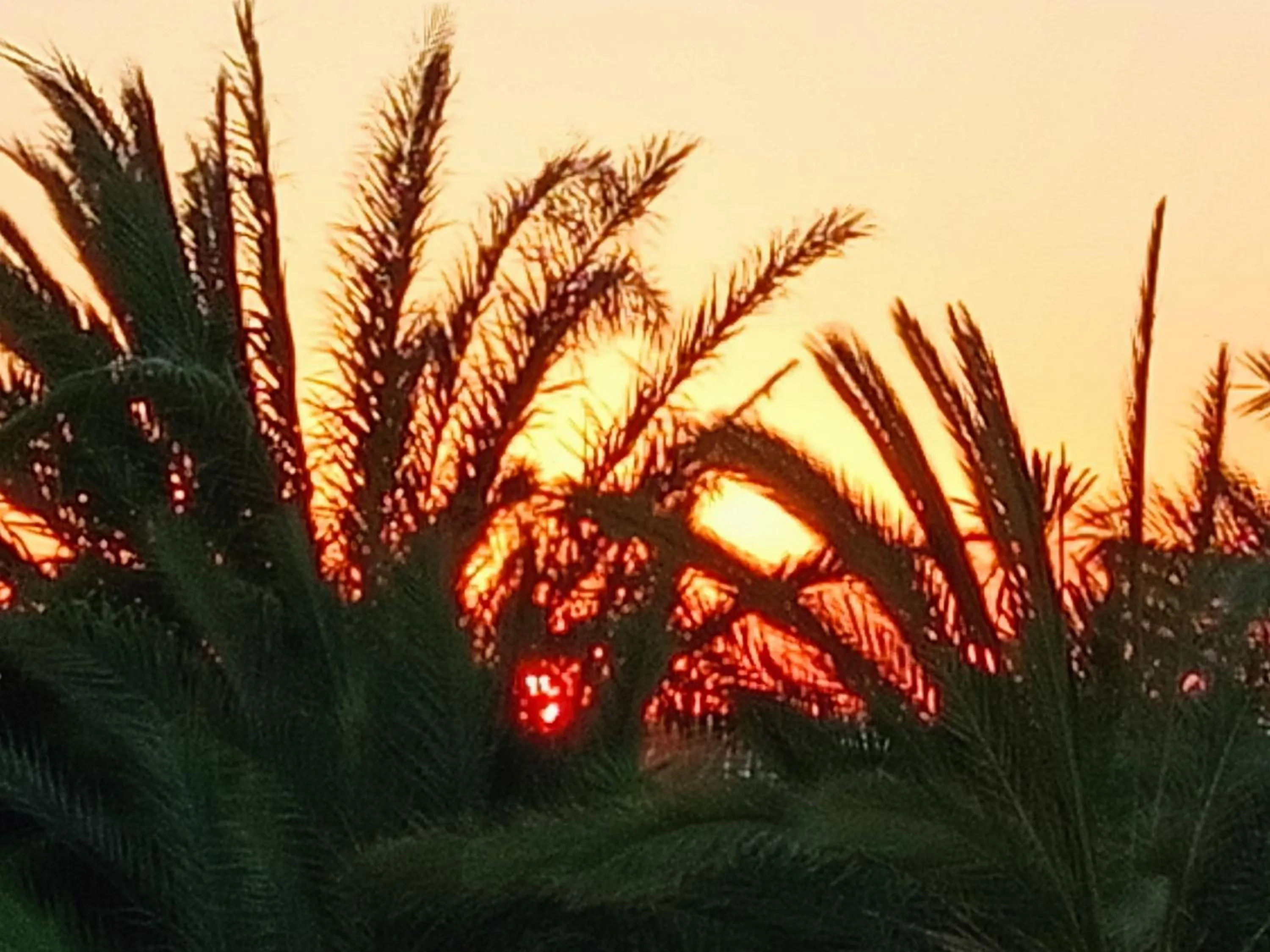 Sunset in Le Patio de Mezraya