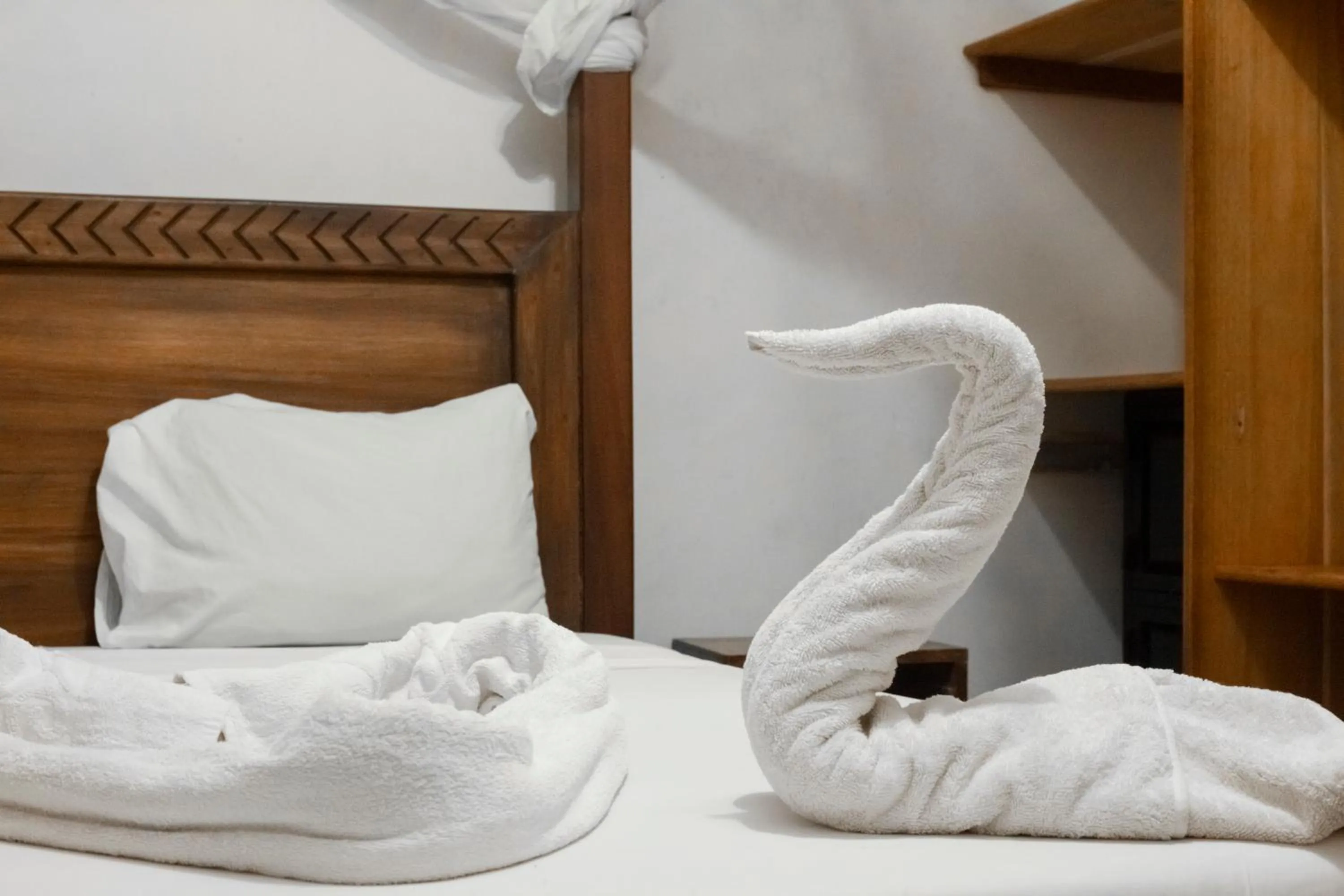 The Secret Garden Hotel Moshi