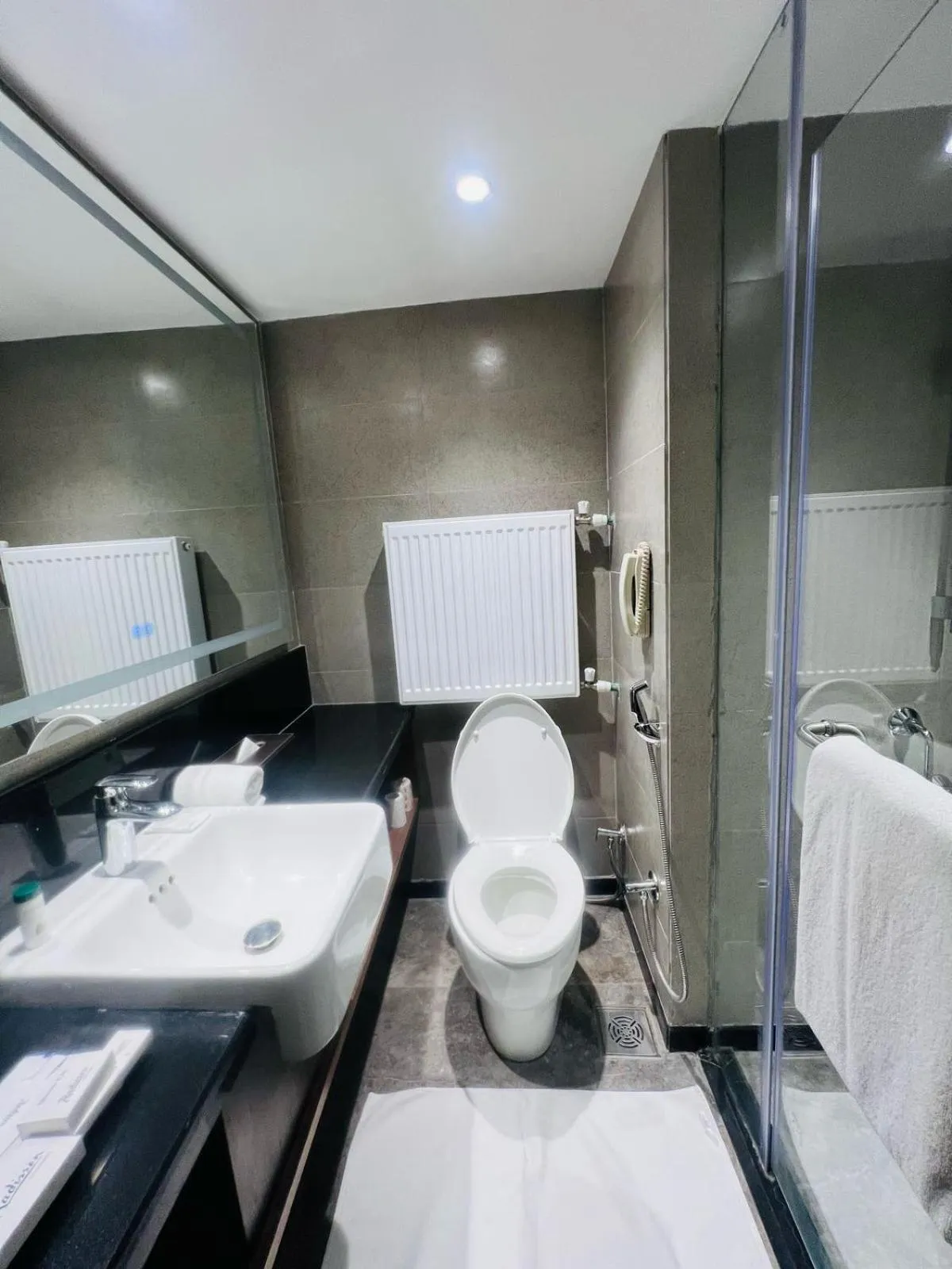 Toilet in Radisson Hotel Sonamarg