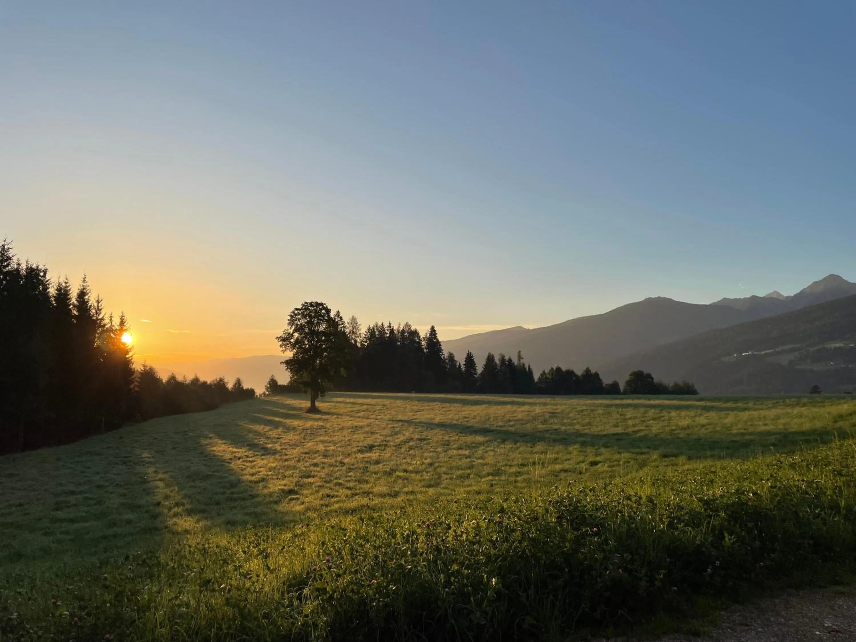 Natural landscape in Burglehnerhof