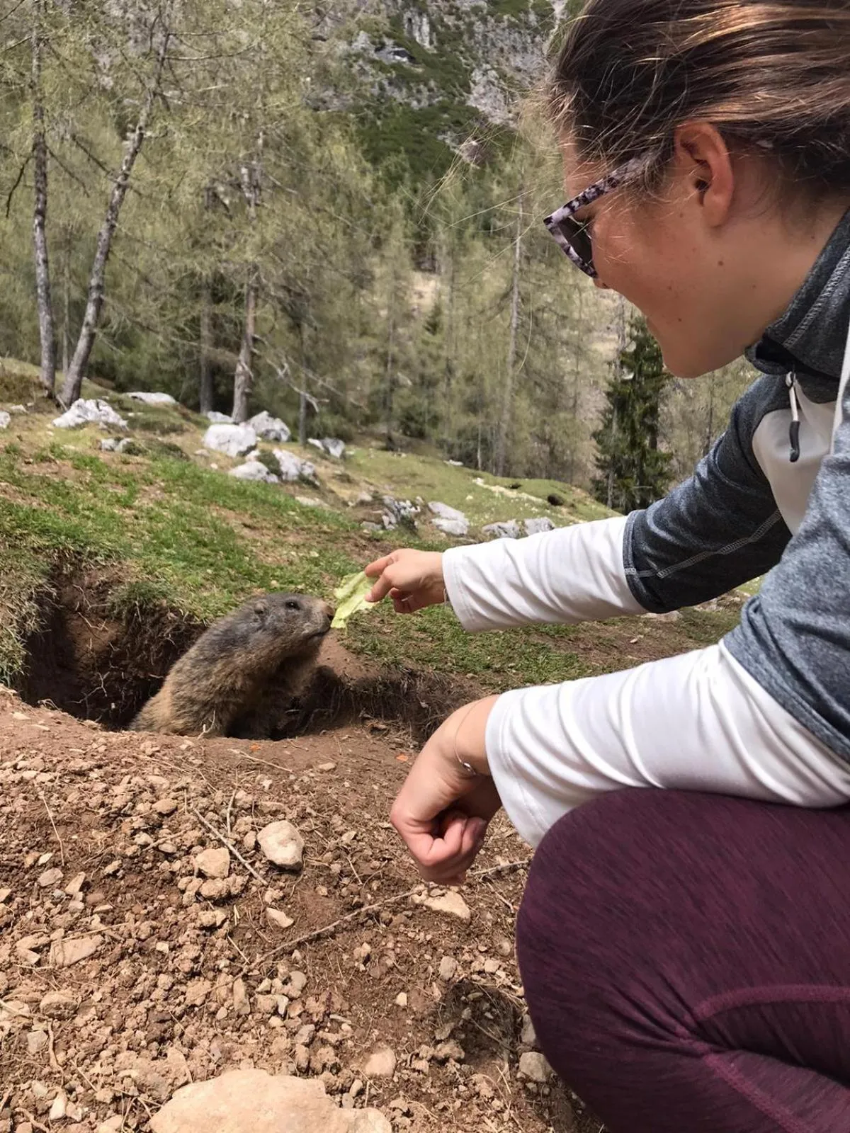 Nearby landmark in Burglehnerhof