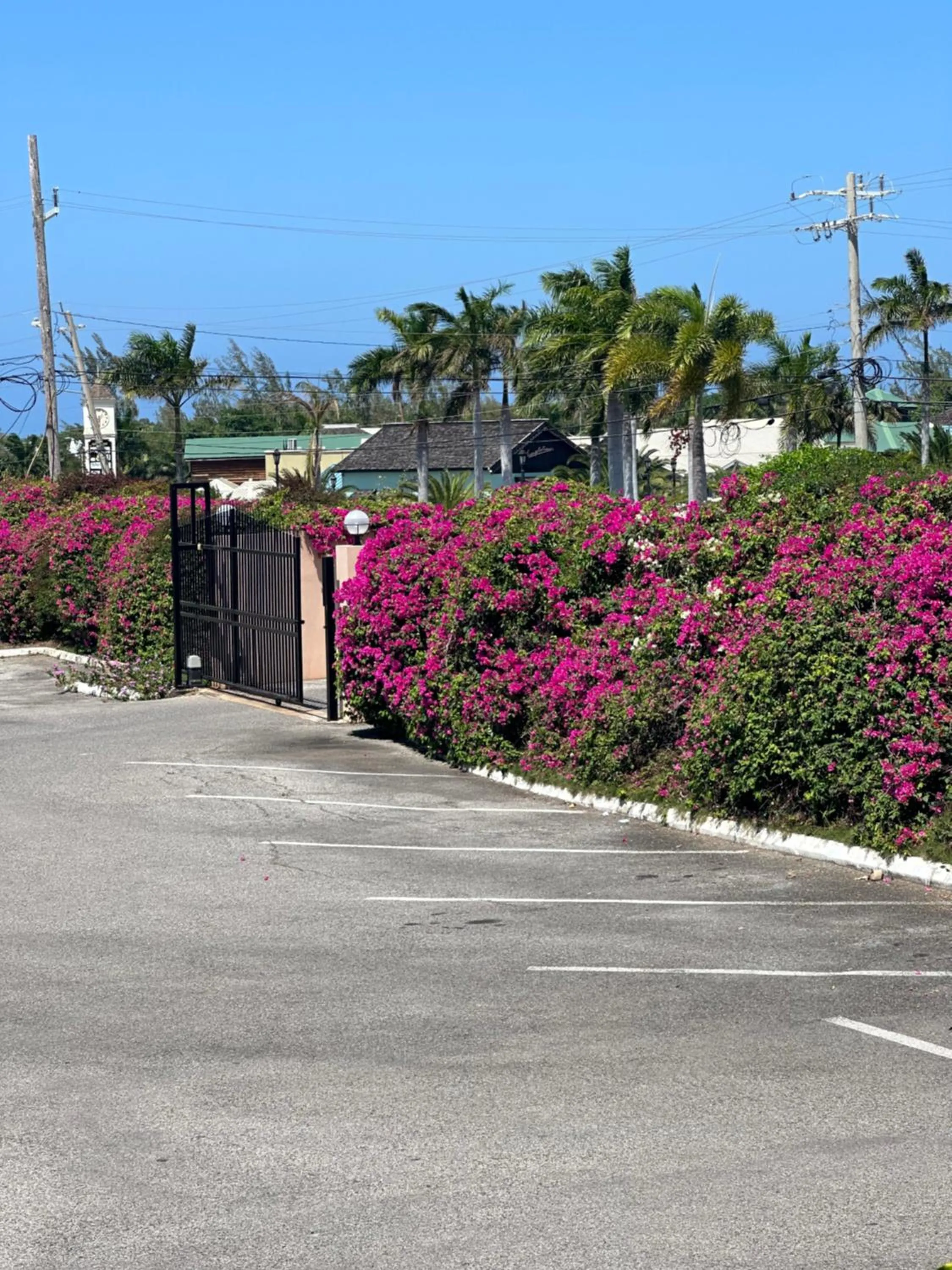 Garden in Sleeps2 - Private Pool - King Bed - AirCon