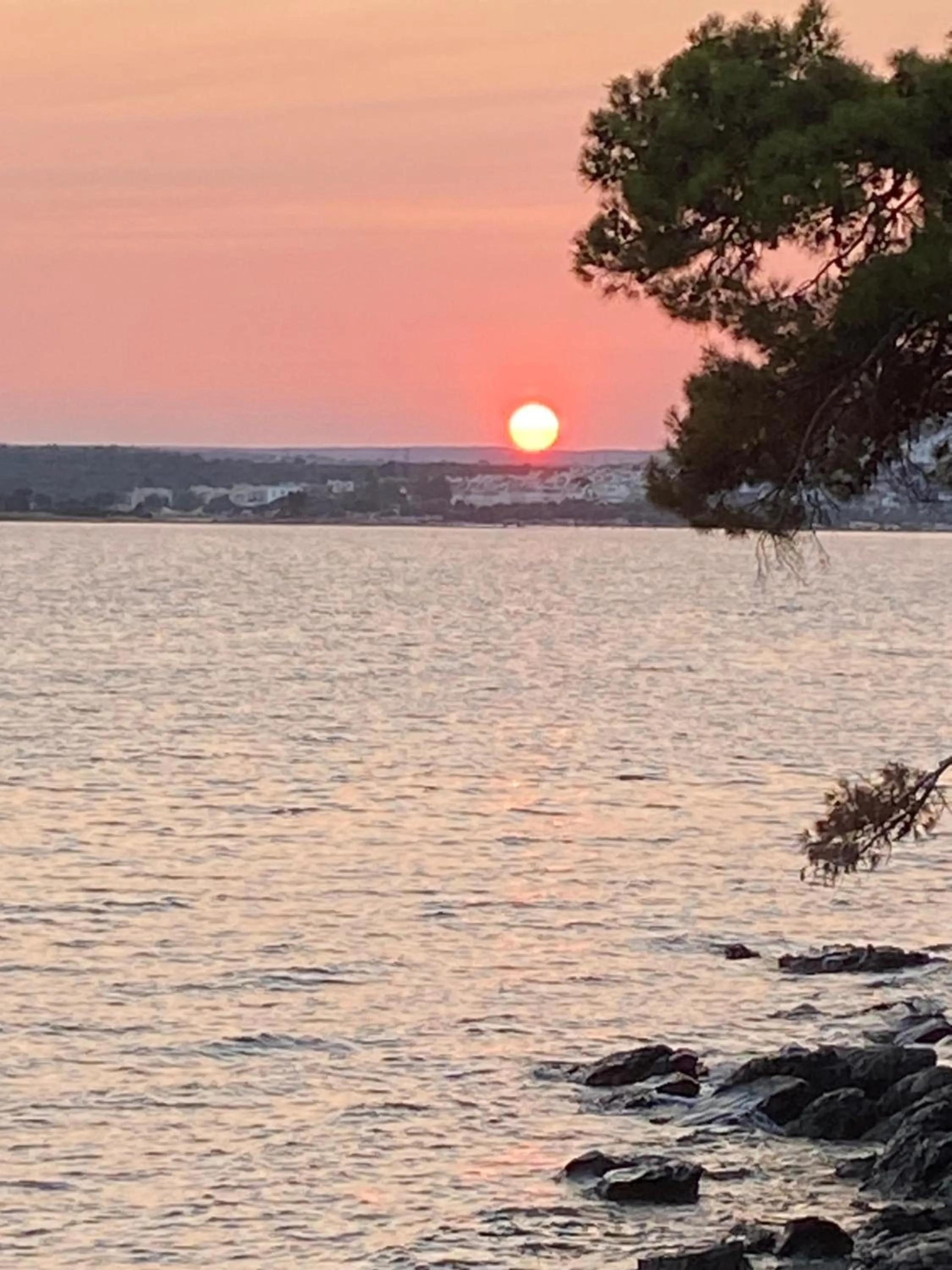 Natural landscape in AKBÜK Palace Resıdence