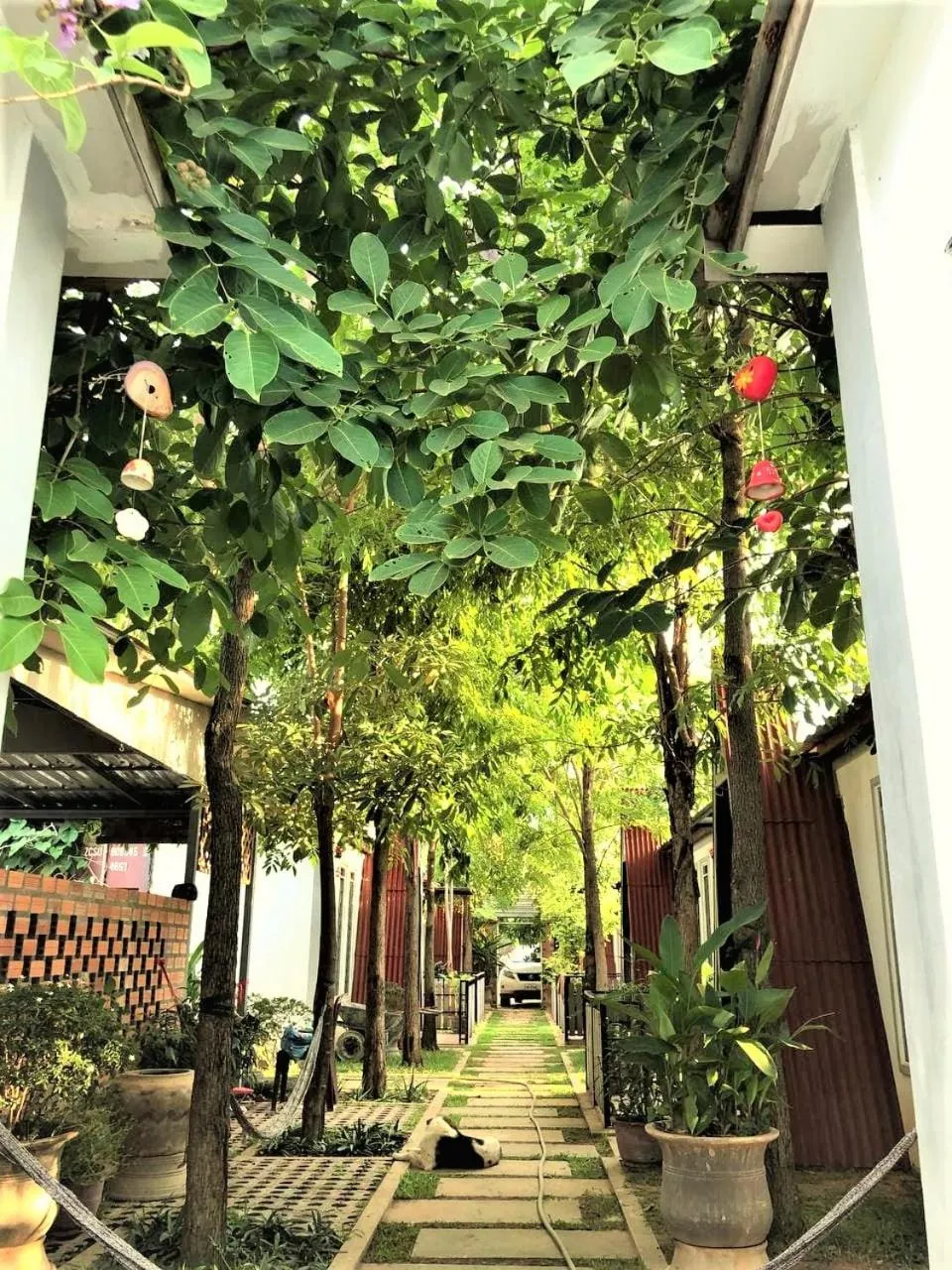 Boyada Villa Siem Reap