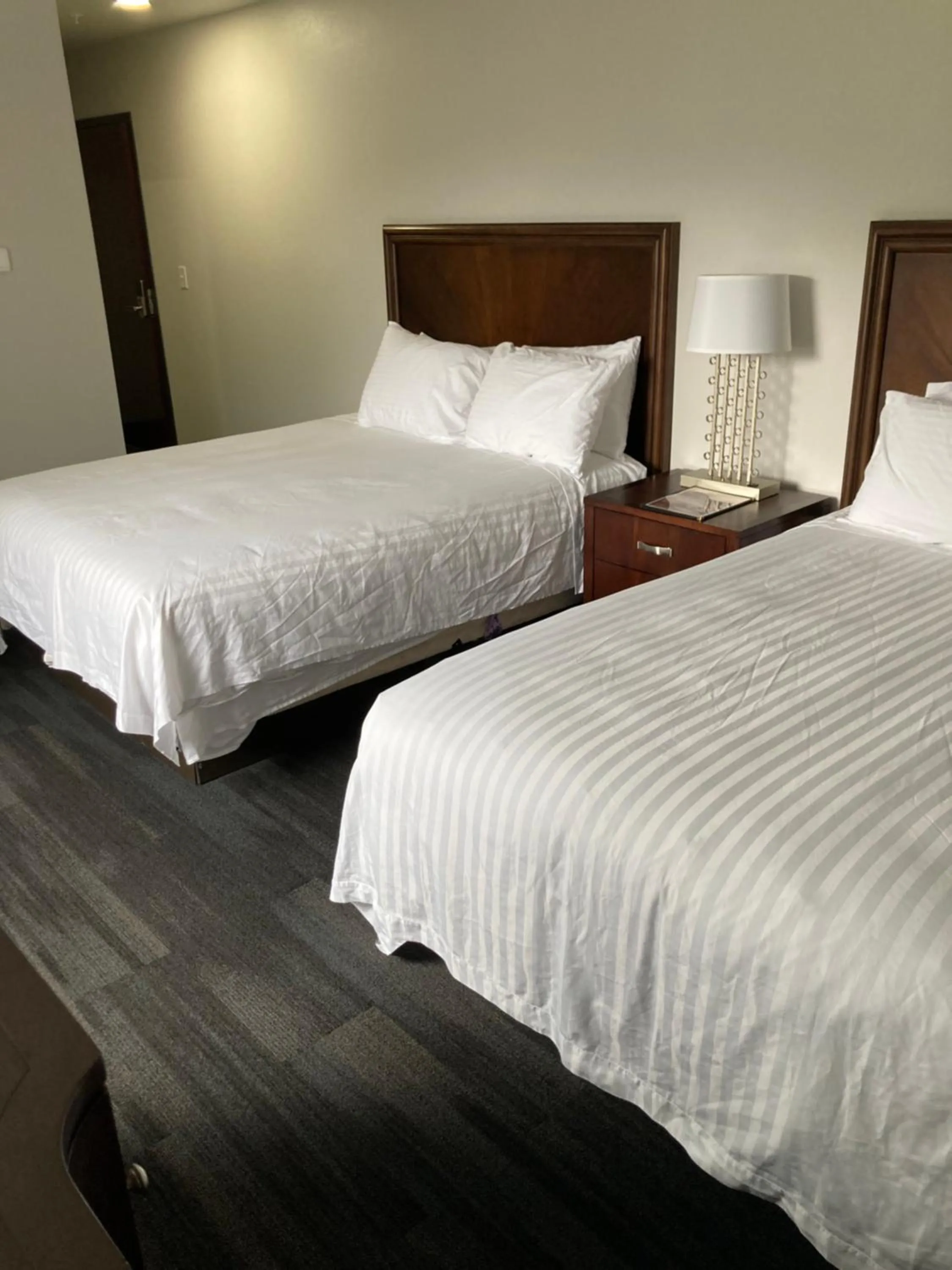 Photo of the whole room, Bed in Elker Inn & Suites